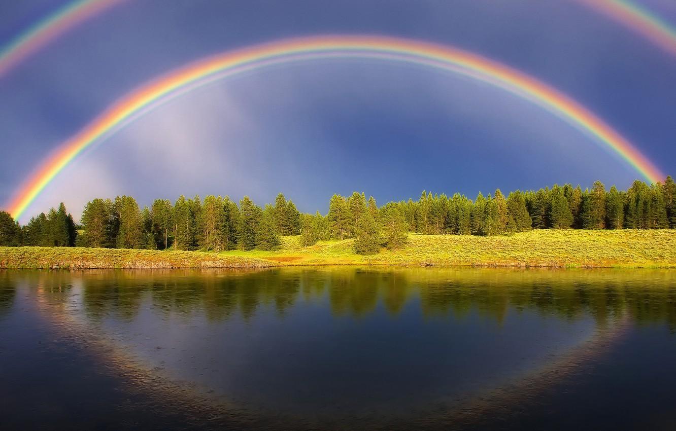 1332x850 Wallpaper forest, summer, the sky, water, light, lake, river, rainbow, pond image for desktop, section пейзажи