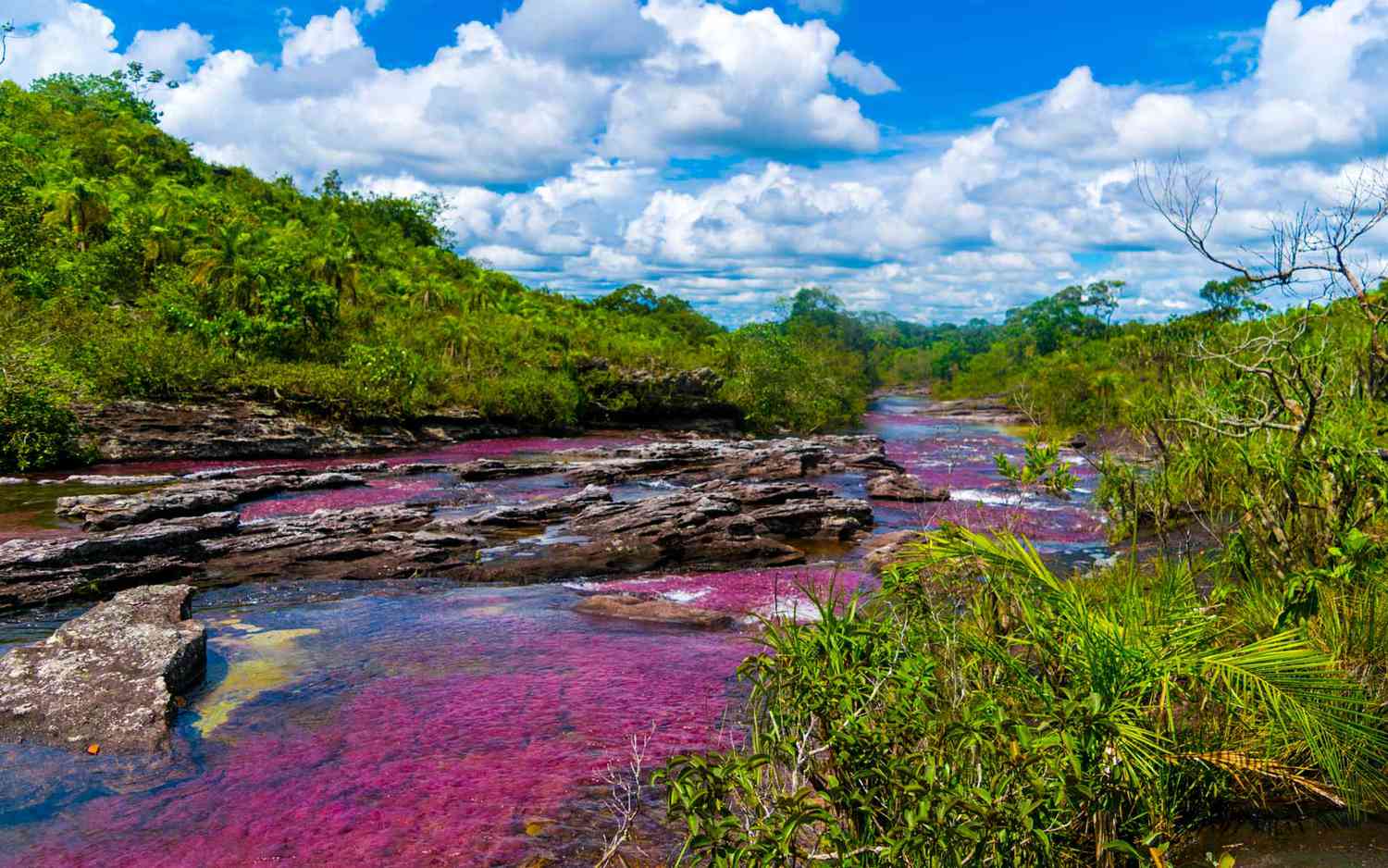 1500x938 This River in Colombia Turns Into a Liquid Rainbow