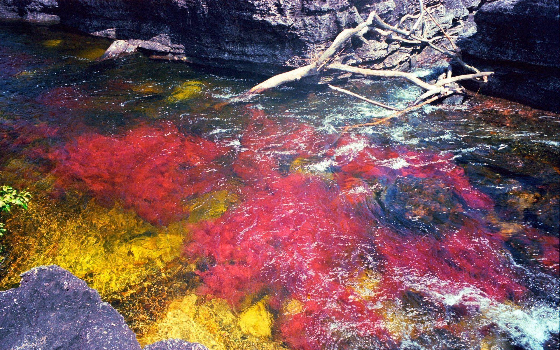 1920x1200 Liquid Rainbow River Of Columbia HD Wallpaper