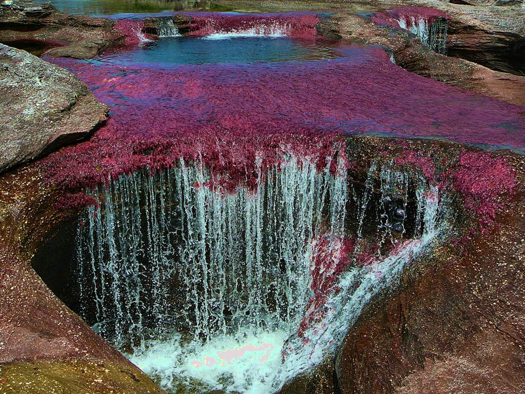 1024x768 Cano Cristales River Colombia River Image