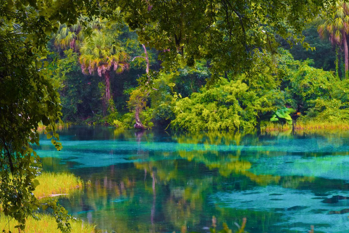 1200x800 Rainbow Springs State Park In Dunnellon, FL. America's State Parks