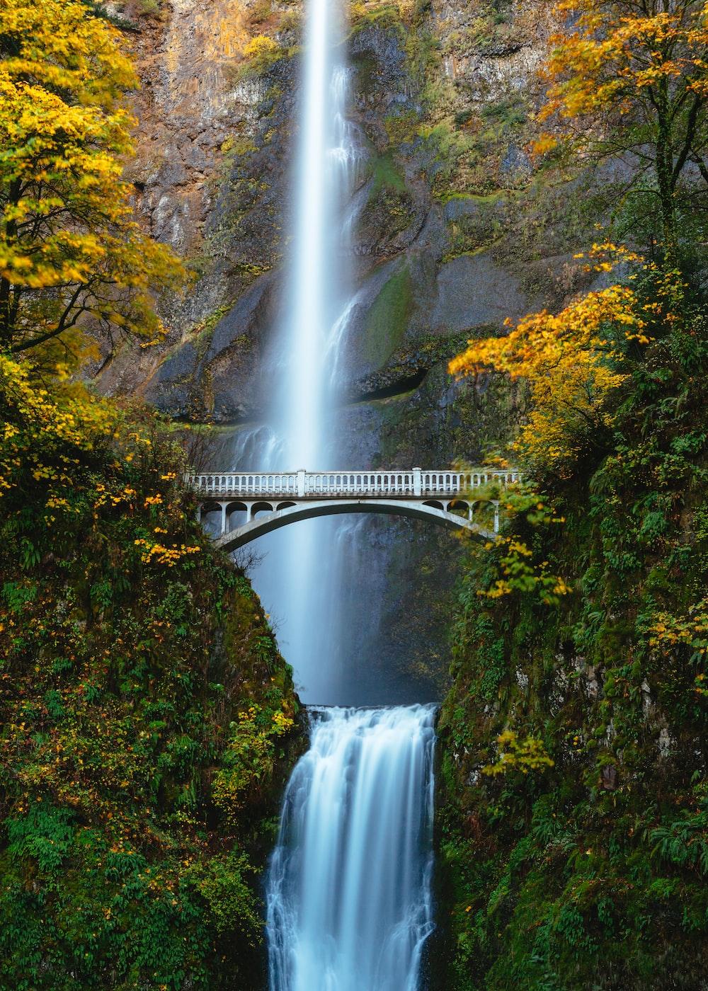 1000x1400 Waterfall Wallpaper: Free HD Download [HQ]