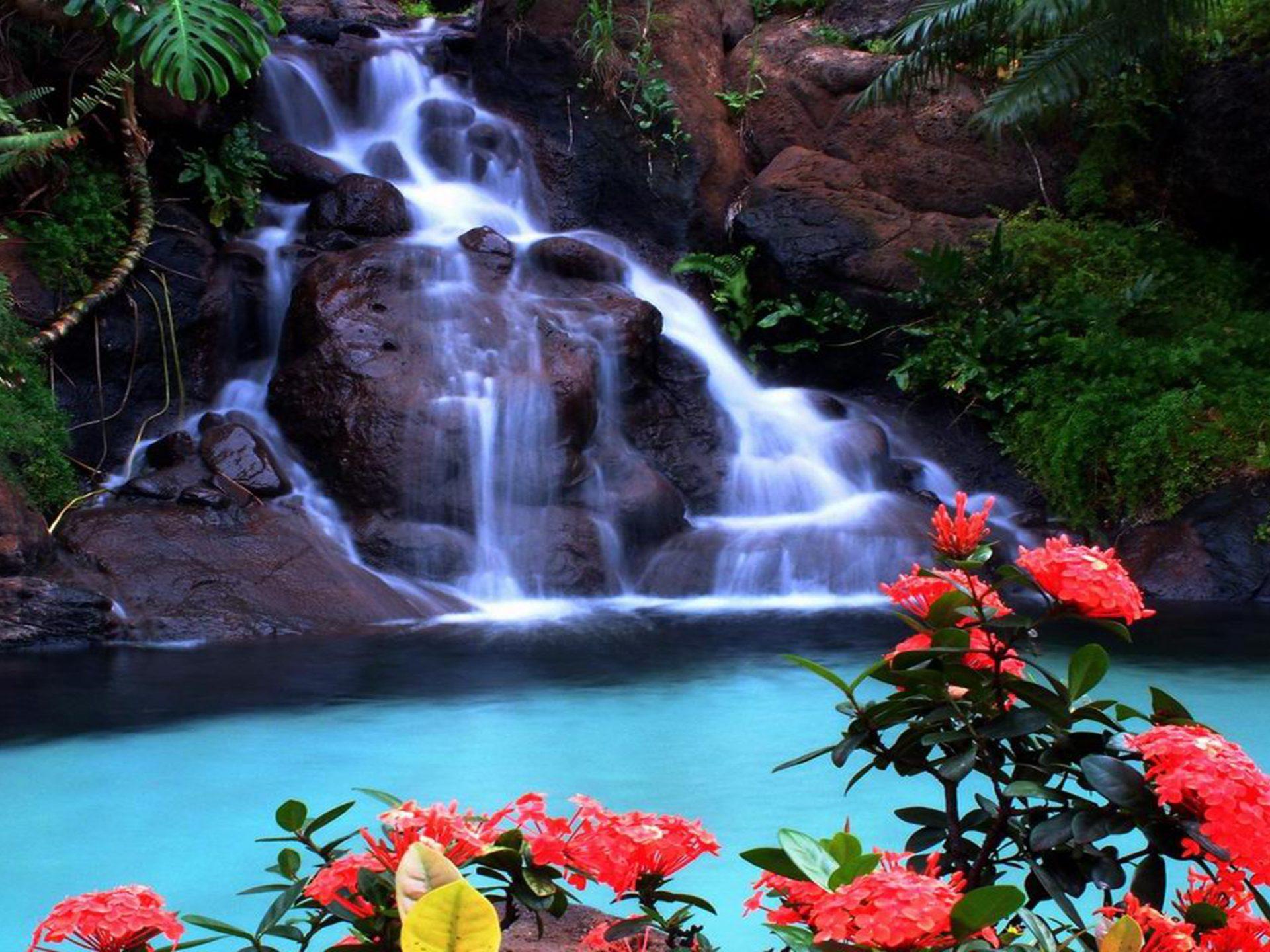 1920x1440 Tropical Waterfall Wallpaper :