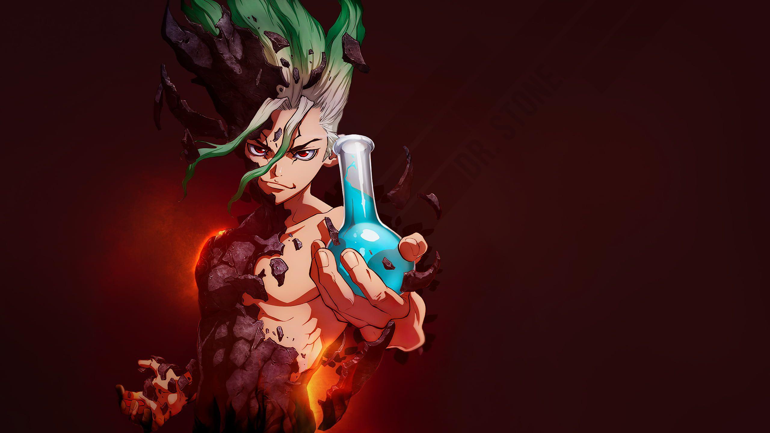 2560x1440 Dr. Stone #anime #flask K #wallpaper #hdwallpaper #desktop. Stone wallpaper, Dr. stone wallpaper, Anime artwork wallpaper