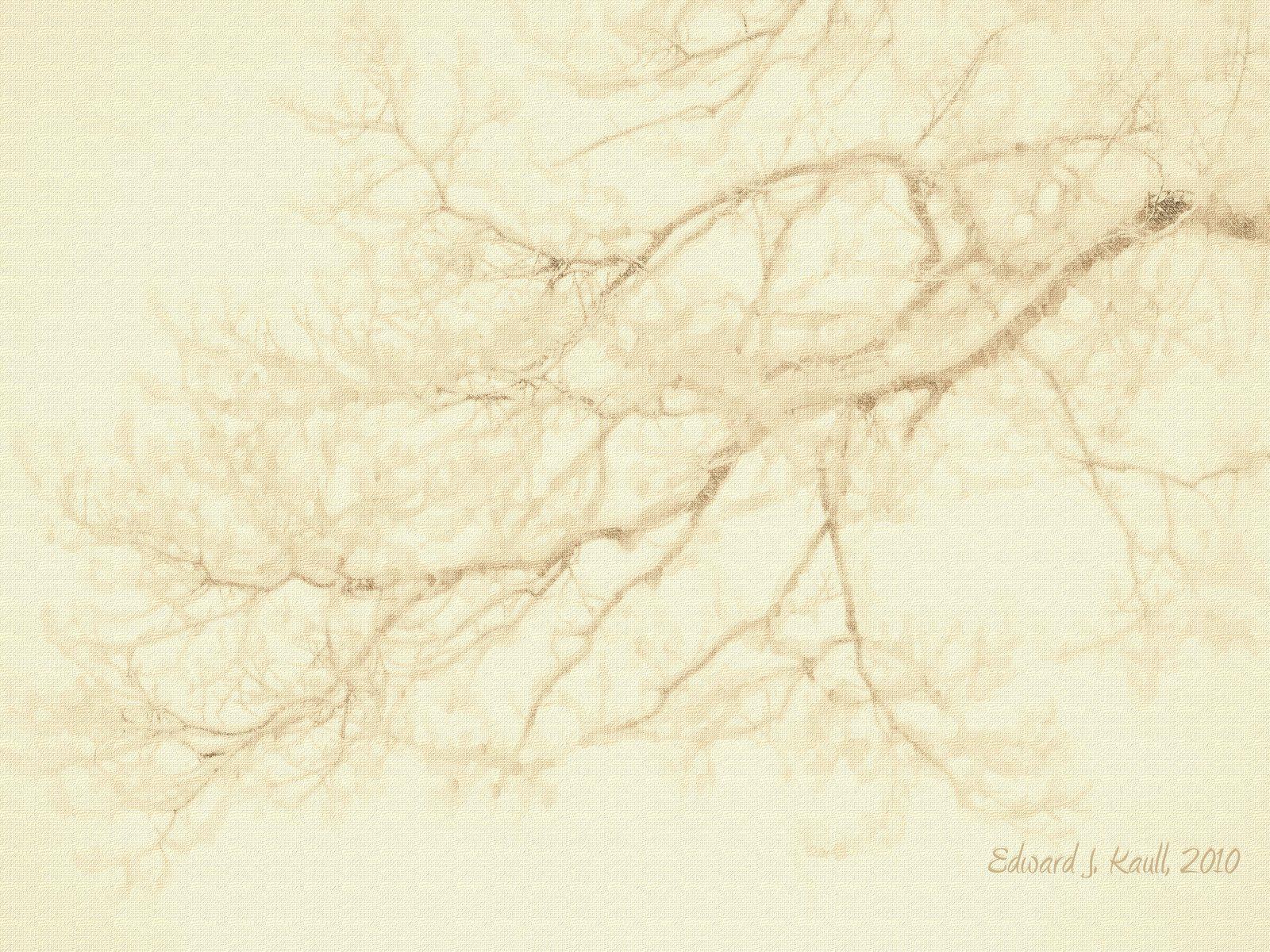 1600x1200 Other. Image: Zen Art Wallpaper