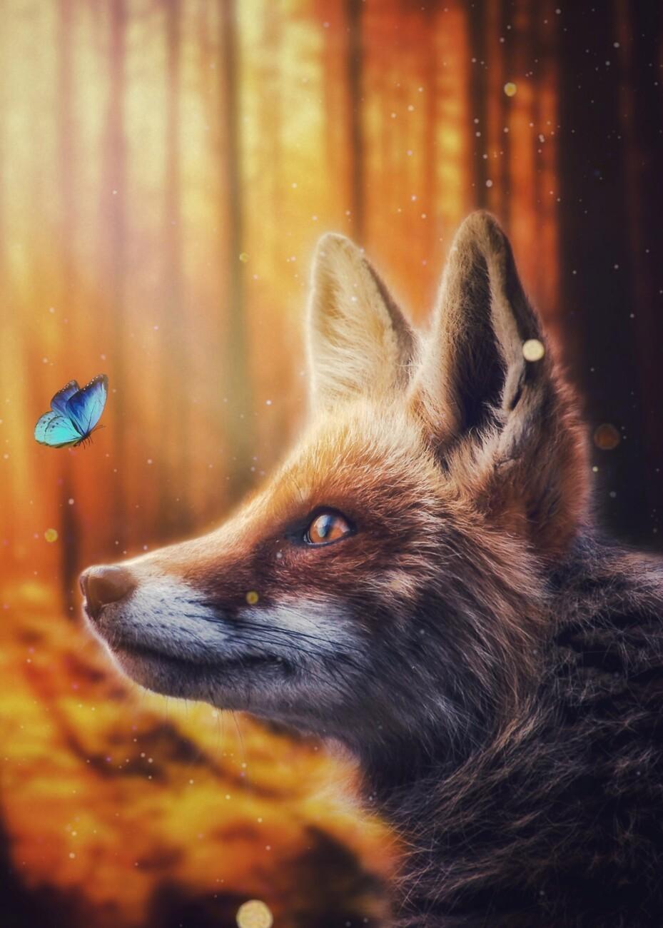 929x1300 Fox and blue butterfly in autumn forest Wall Mural