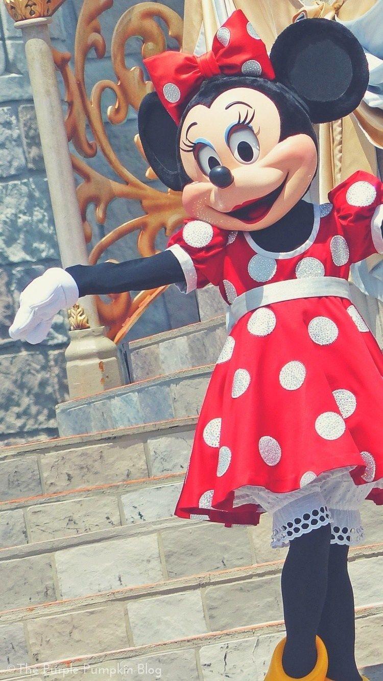 MINNIE MOUSE IPHONE WALLPAPER BACKGROUND Minnie Mouse