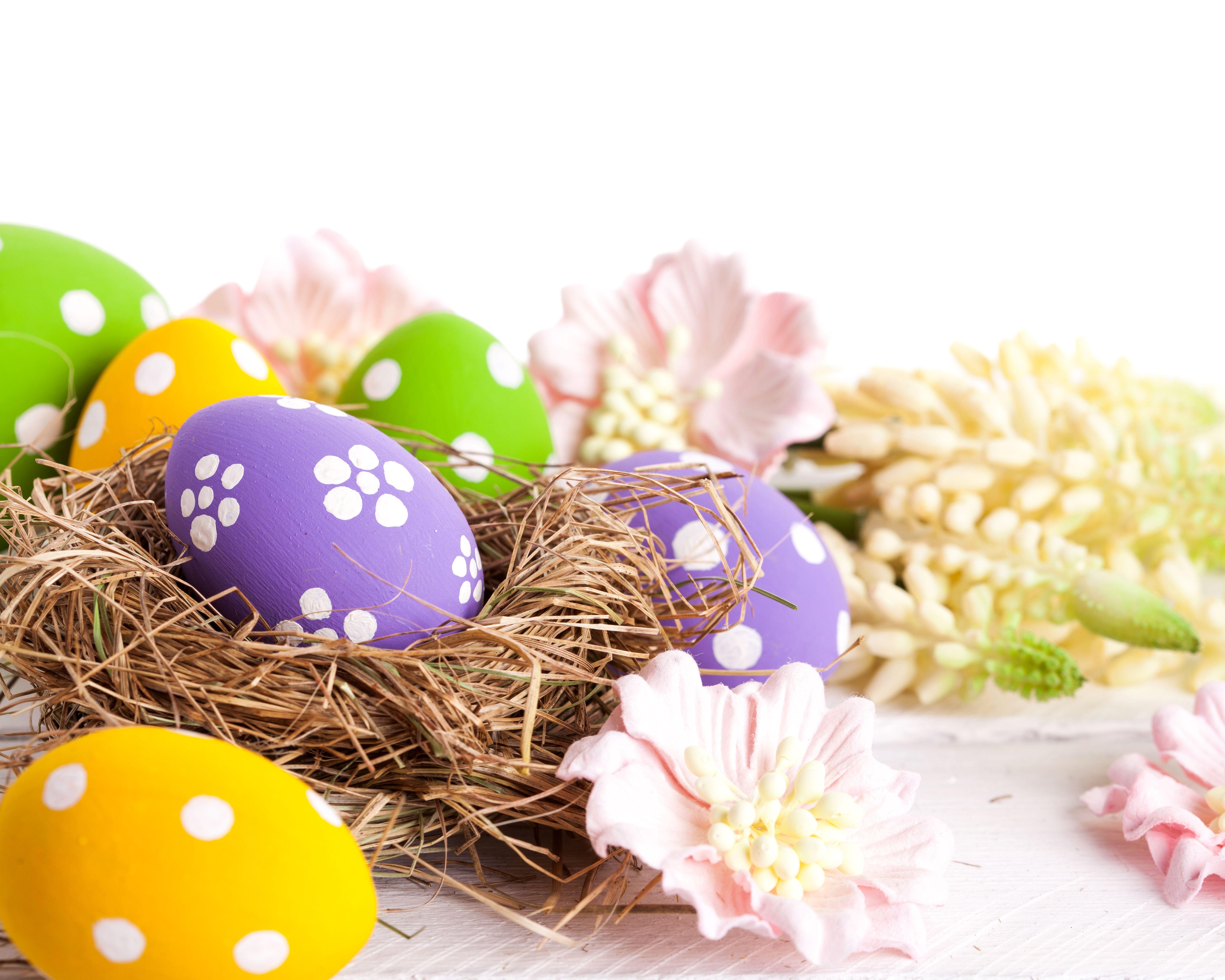 6000x4800 Wallpaper Easter Eggs Nest Holidays 6000x4800