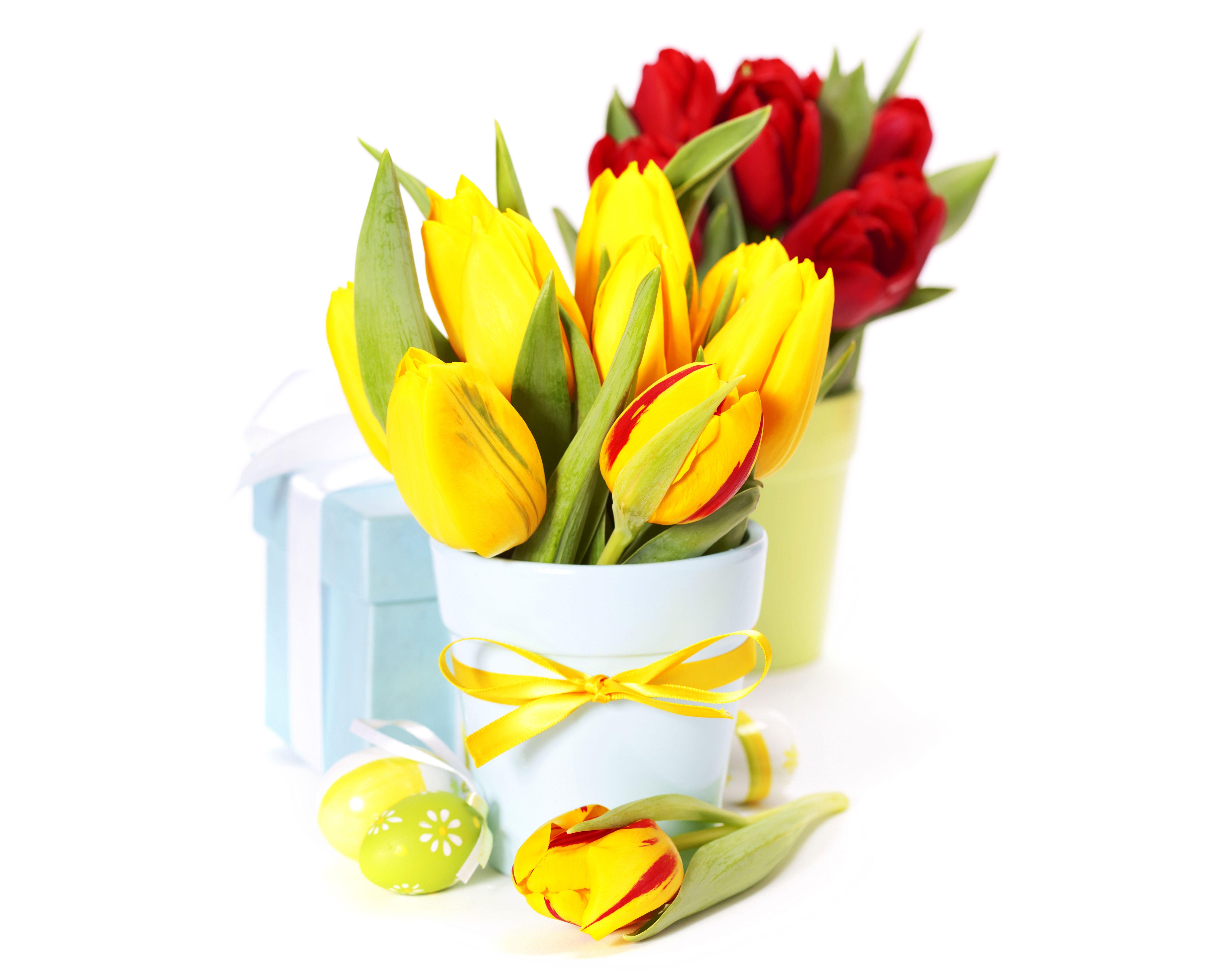 6000x4800 Photo Easter Eggs Bouquets Tulips Flowers present Vase 6000x4800