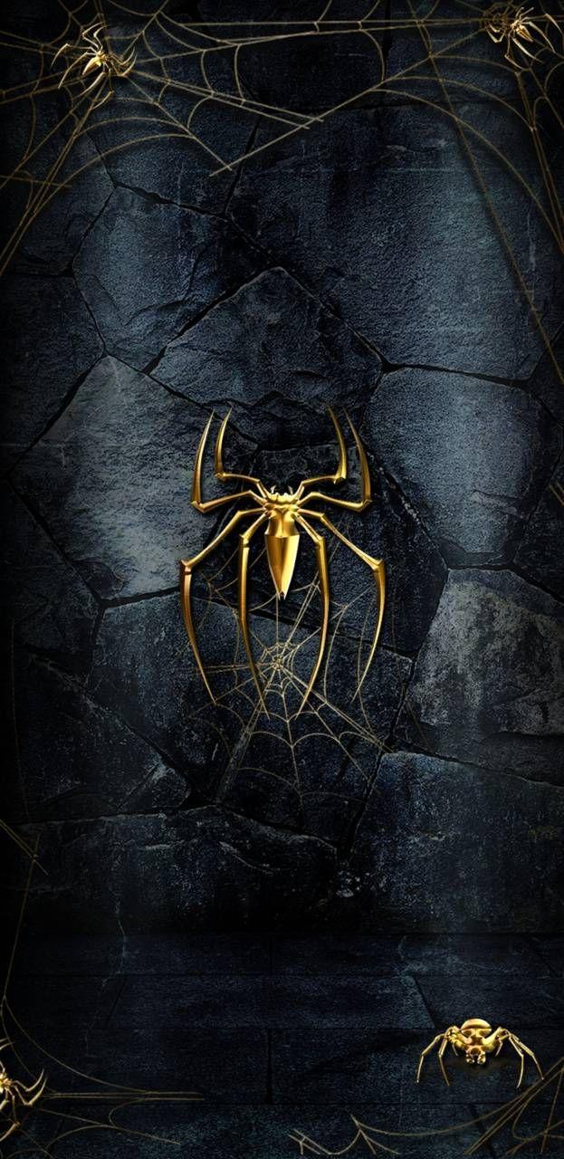 623x1280 Spider Wallpaper