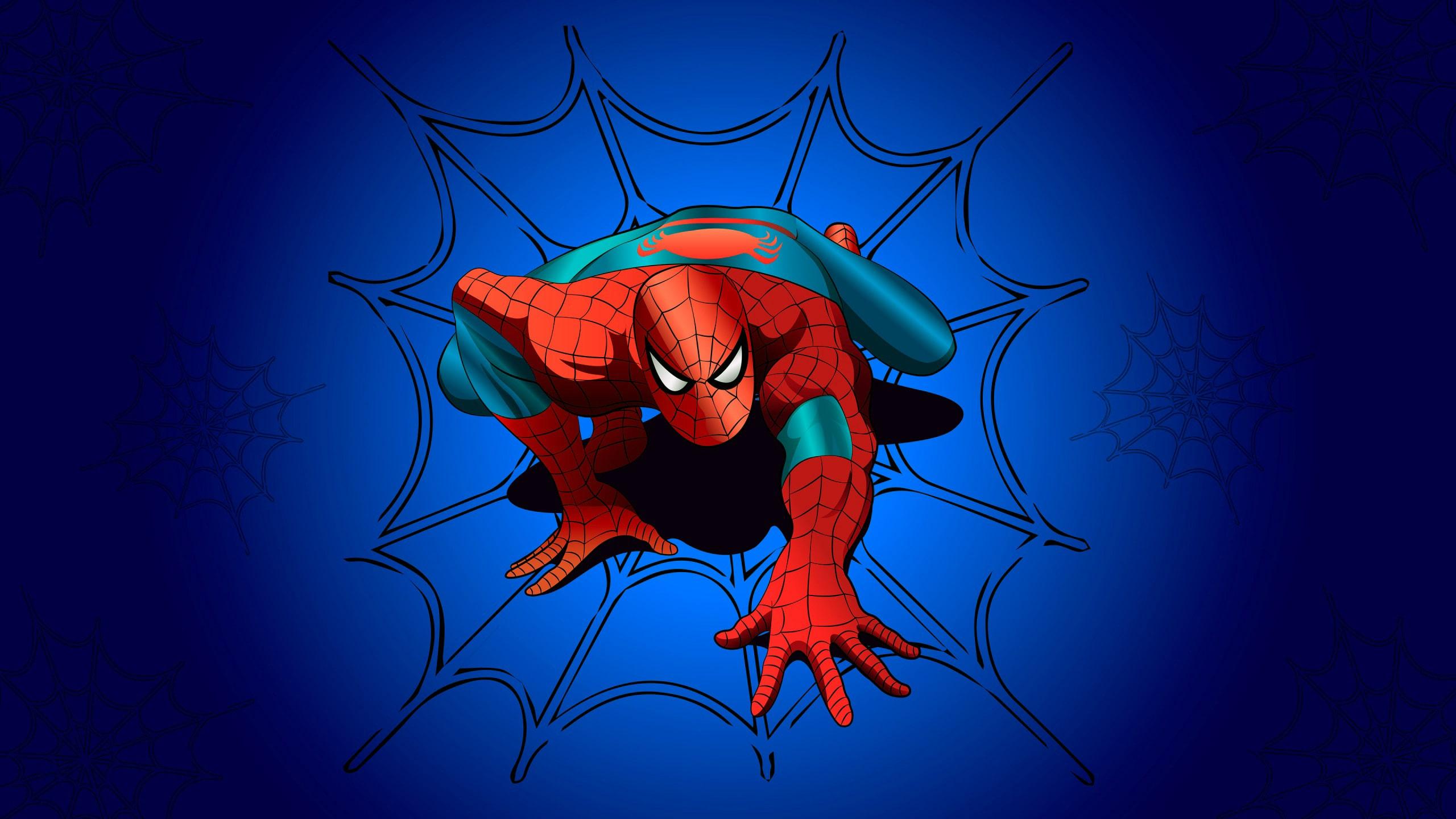 2560x1440 Spider Man Wallpaper