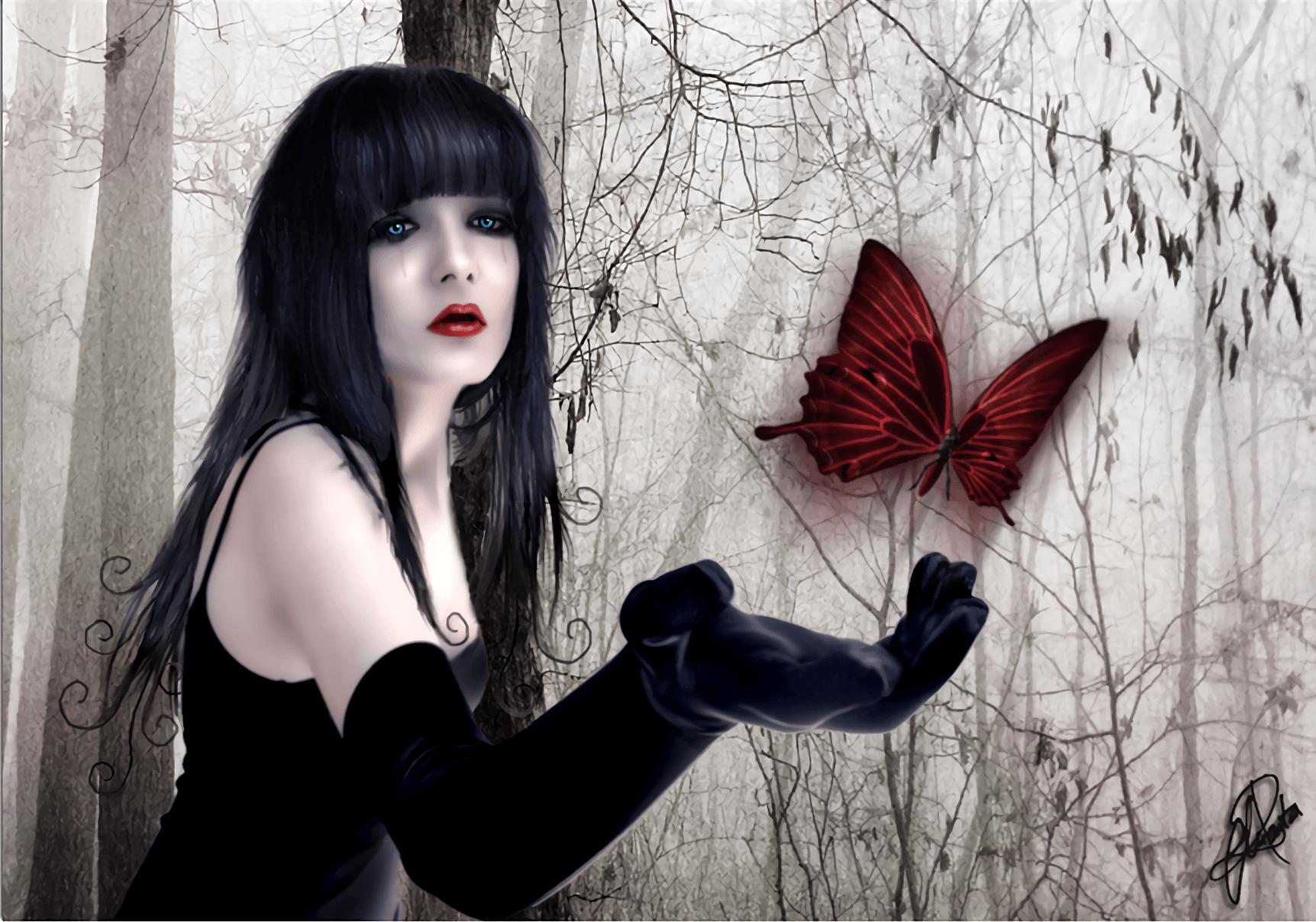 Gothic Butterfly Wallpapers Top Free Gothic Butterfly Backgrounds