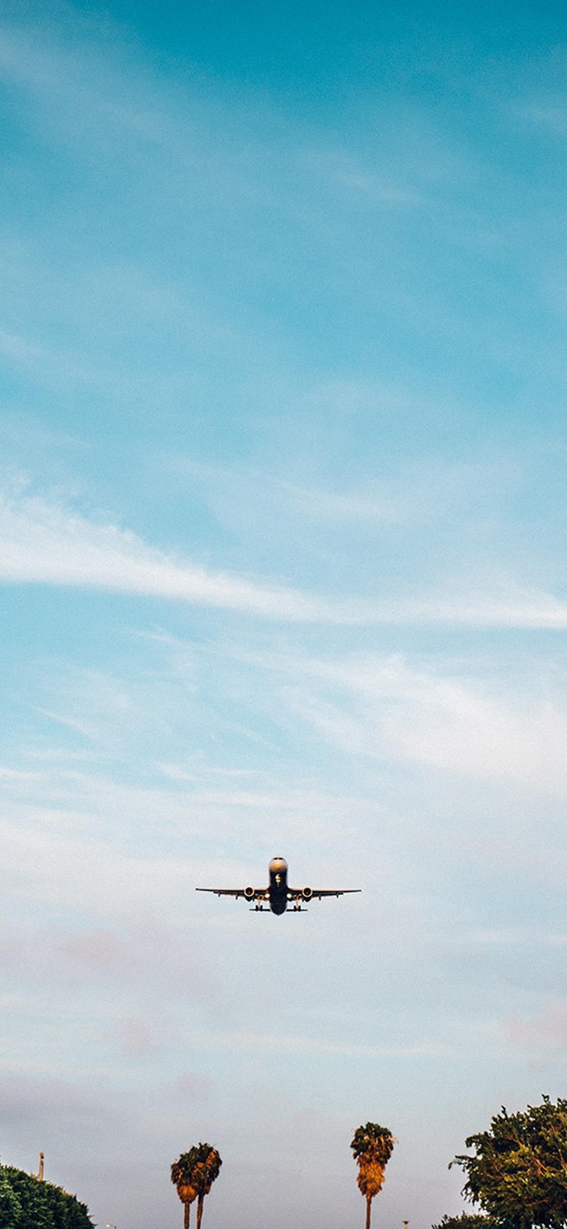 1125x2436 Vacation Landing Fly Plane Summer Nature Wallpaper