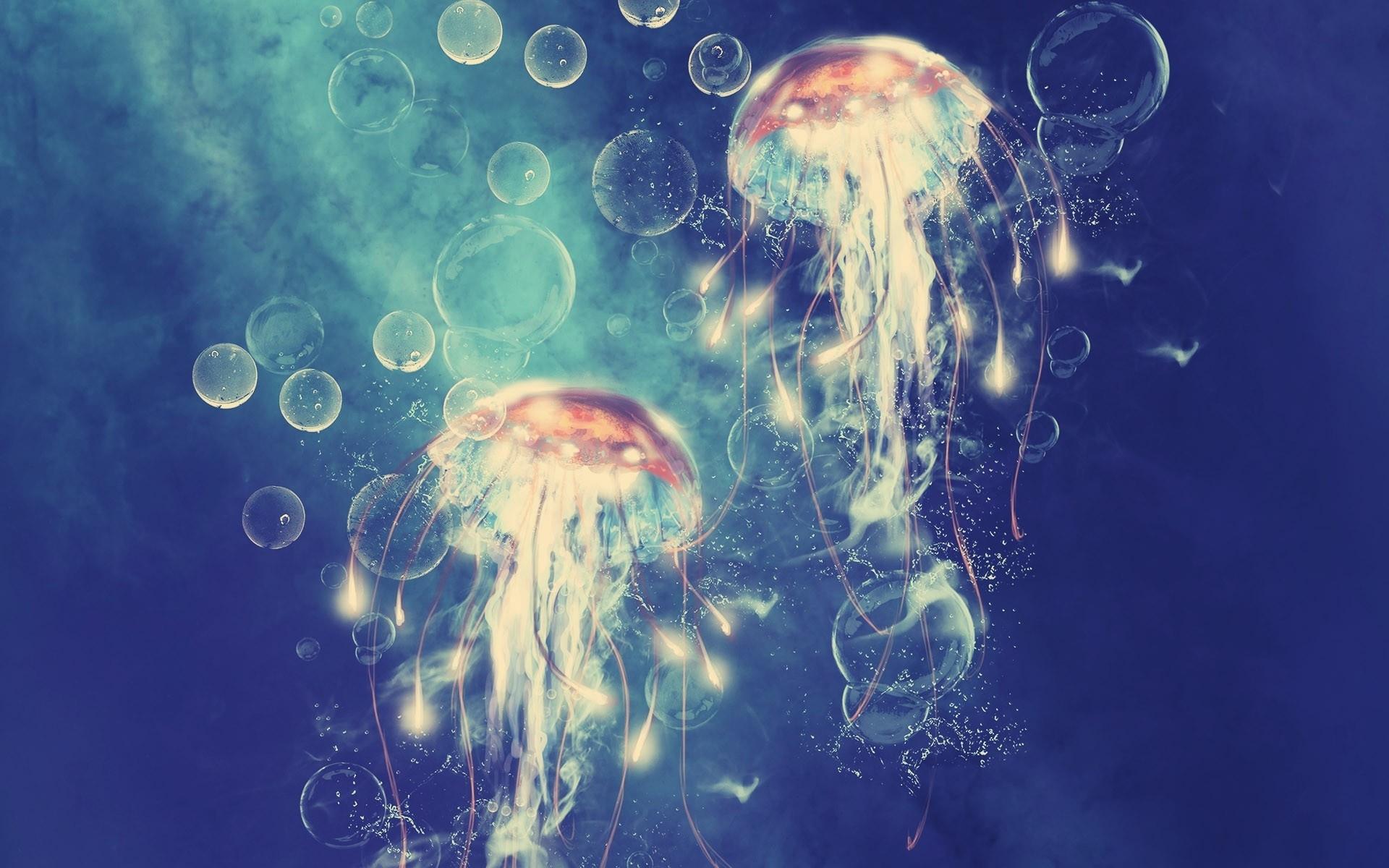 Jellyfish Art Wallpapers - Top Free Jellyfish Art Backgrounds ...