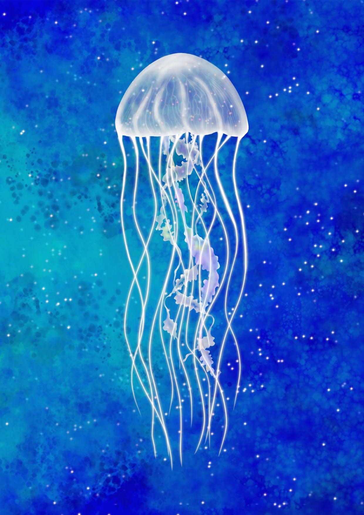 Jellyfish Art Wallpapers - Top Free Jellyfish Art Backgrounds ...