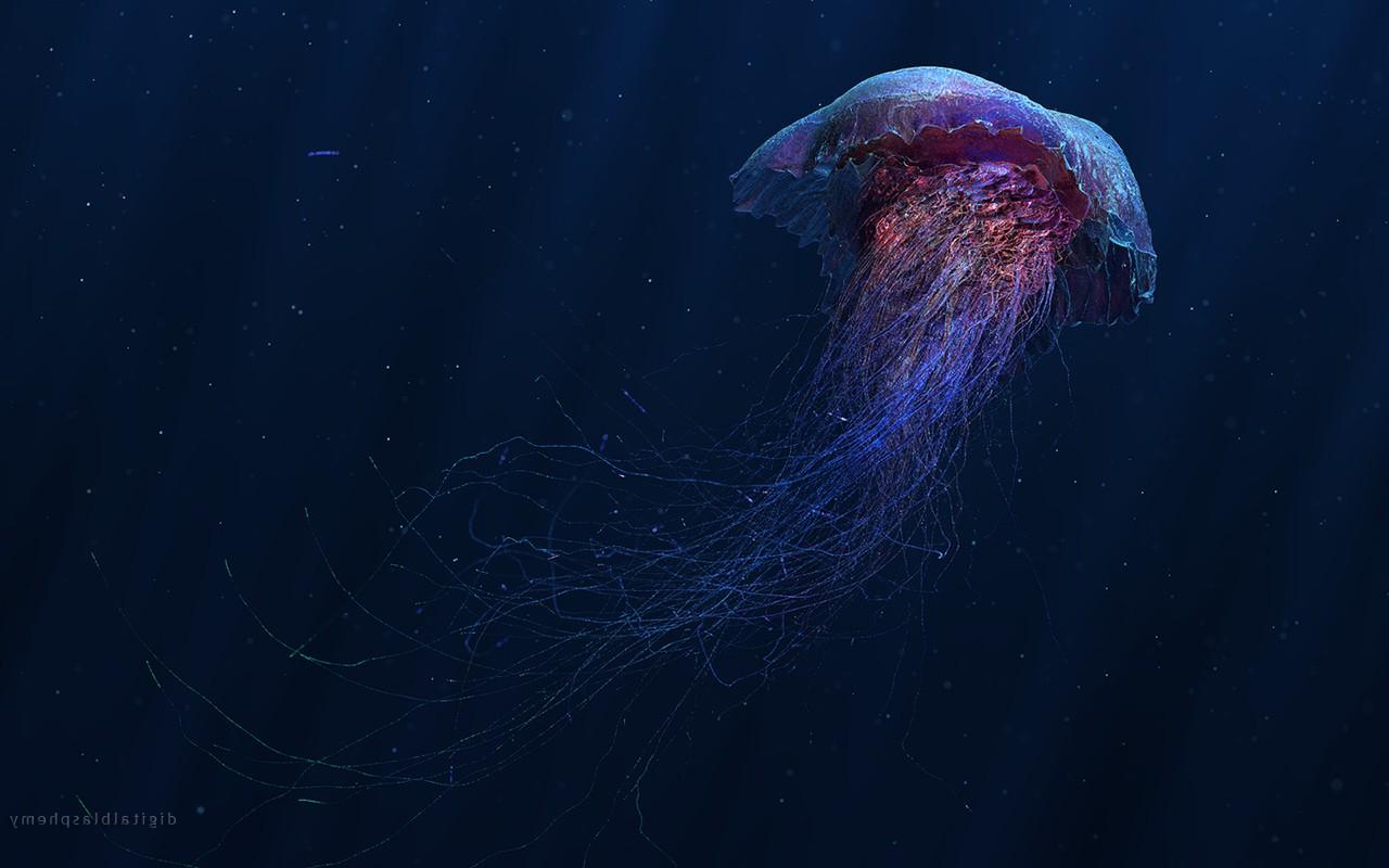1280x800 digital Art, Jellyfish Wallpaper HD / Desktop and Mobile Background