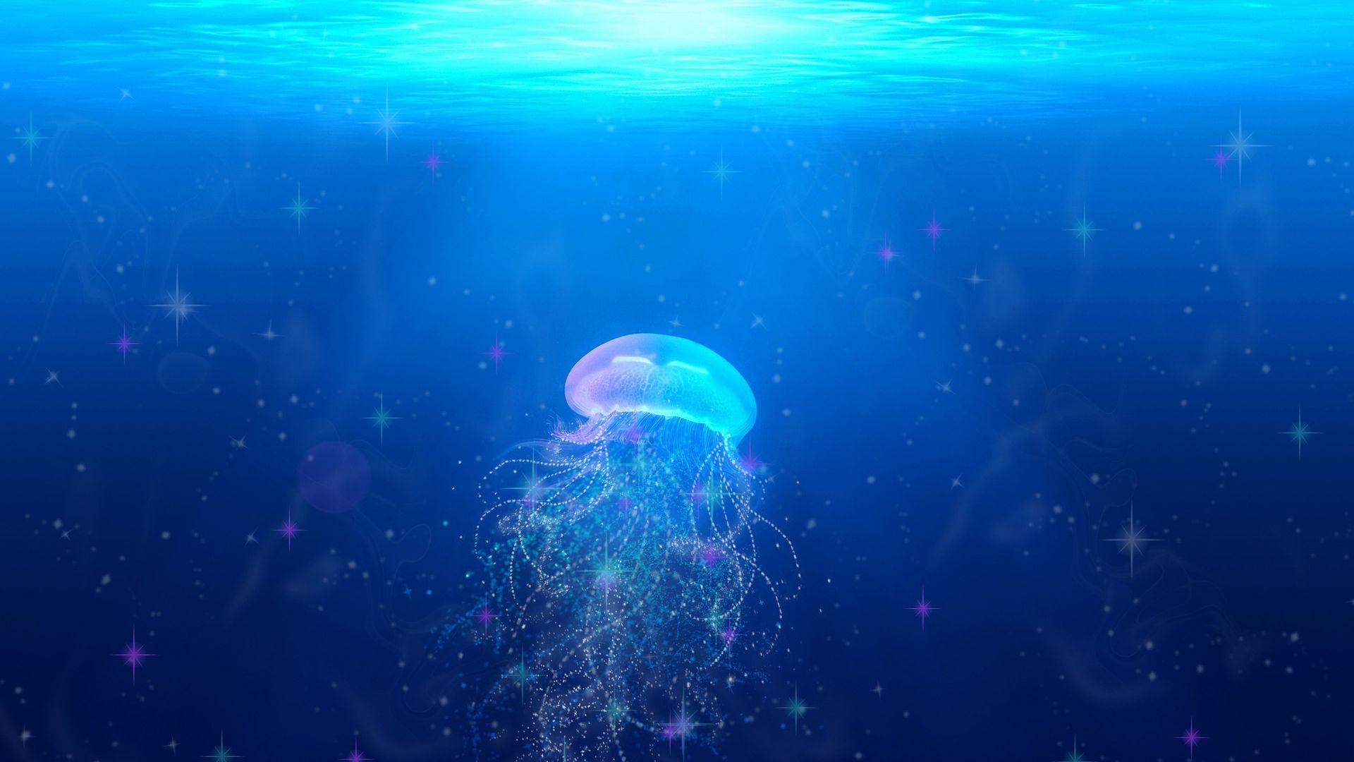 1920x1080 Desktop Wallpaper Jellyfish, Glitter, Art, HD Image, Picture, Background, Guh5c