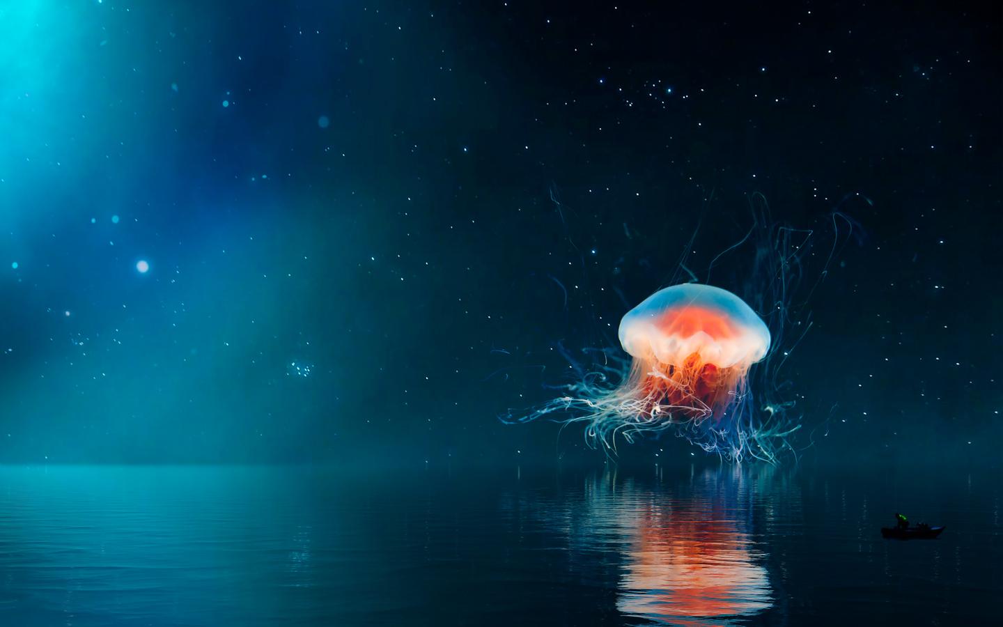1440x900 Download Jellyfish, Graphic arts, Art, Sea, Night Wallpaper in 1440x900 Resolution