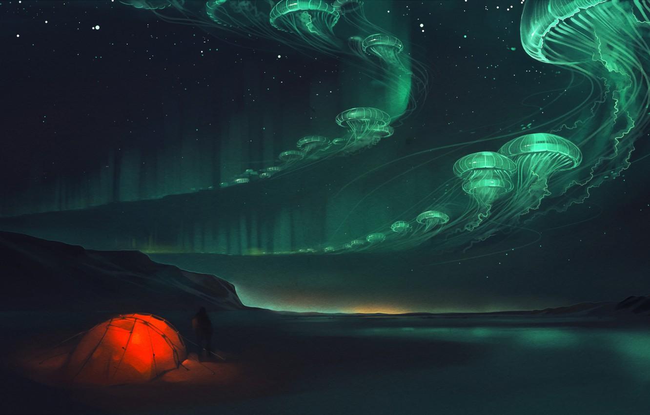 1332x850 Wallpaper night, lights, jellyfish, tent, art image for desktop, section живопись