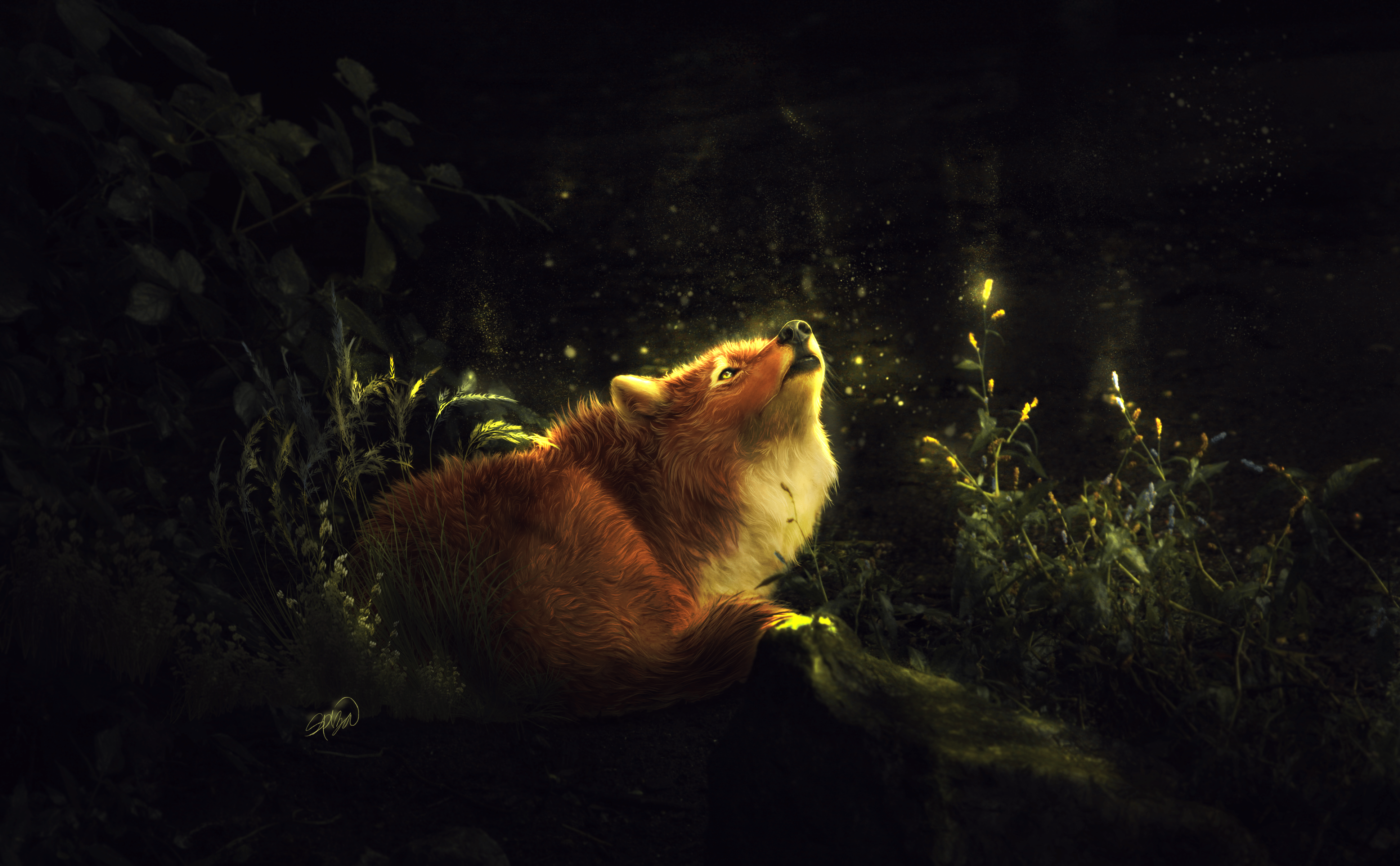 3888x2406 Fox in Enchanted Forest