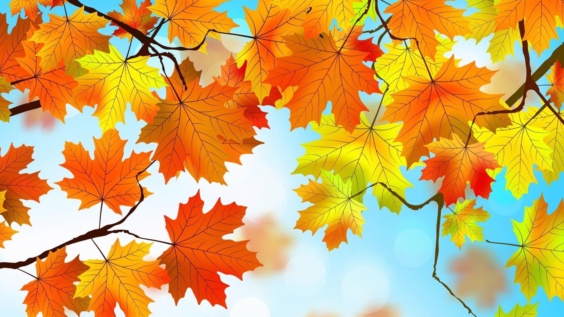 1920x1080 HD Autumn Leaves Background Drawing Gallery HD Wallpaper