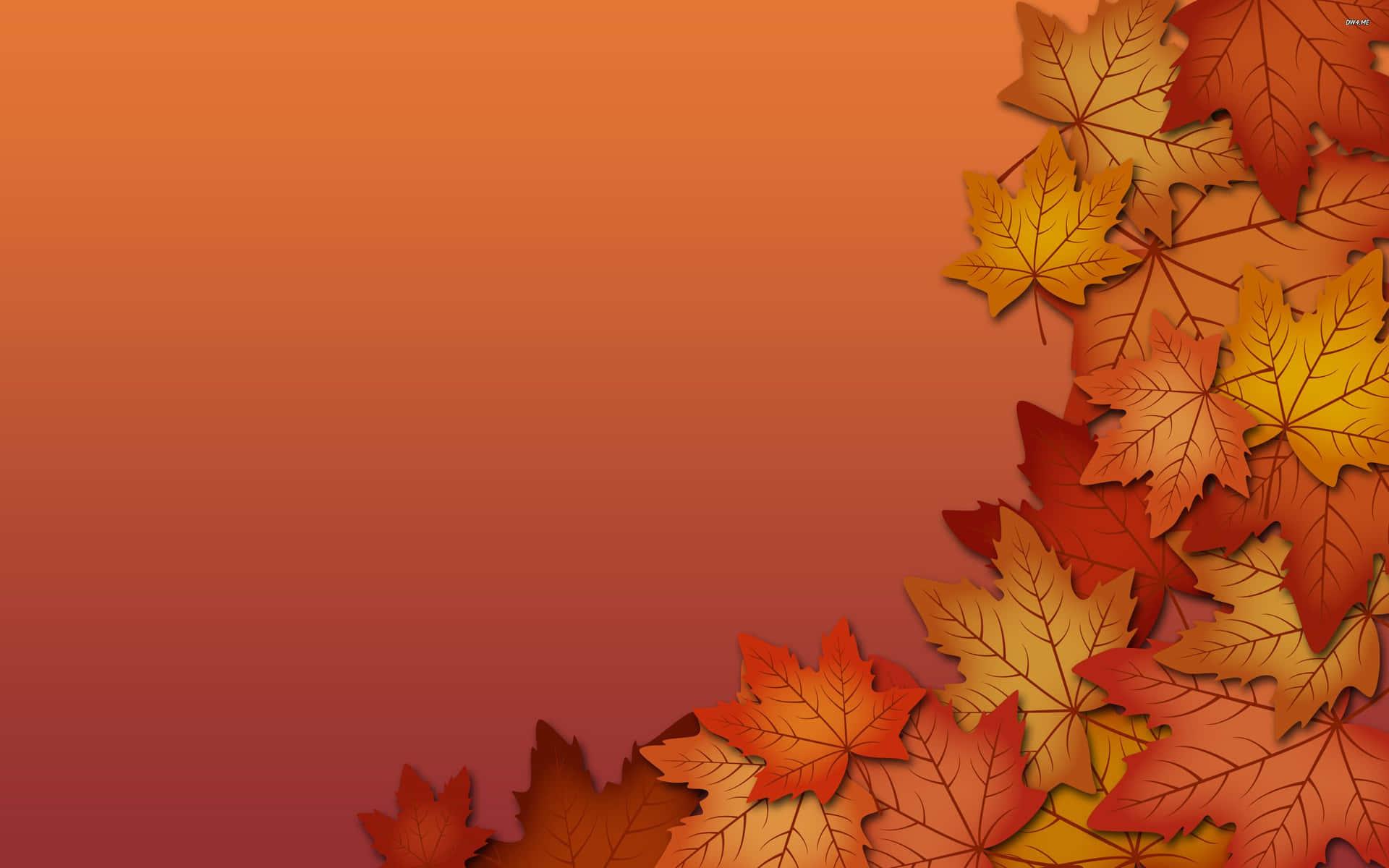1920x1200 Download Fall Colors Wallpaper