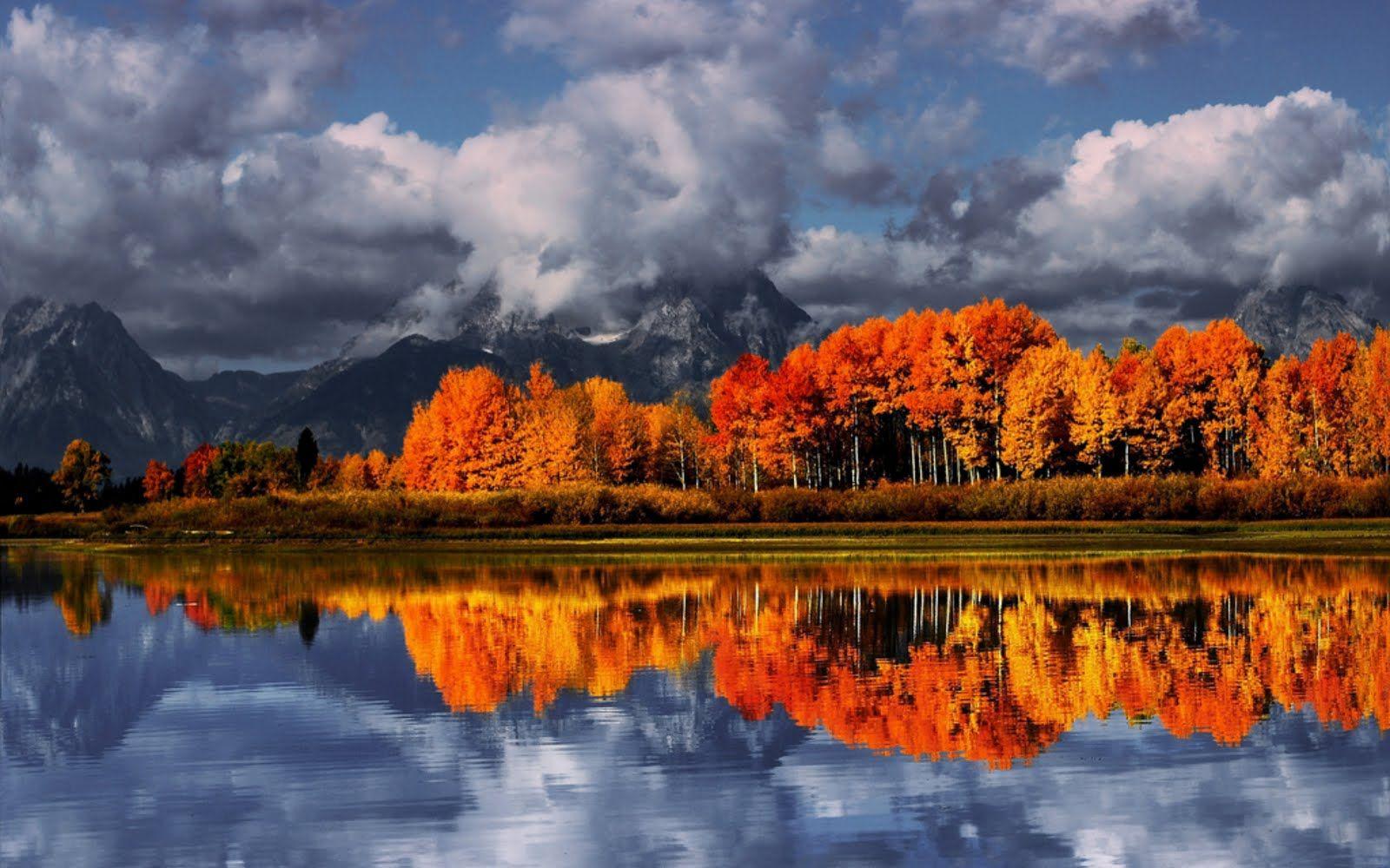1600x1000 Desktop Screen and HD Wallpaper Downloads. Indiwall. Autumn landscape, Fall landscape photography, Landscape trees