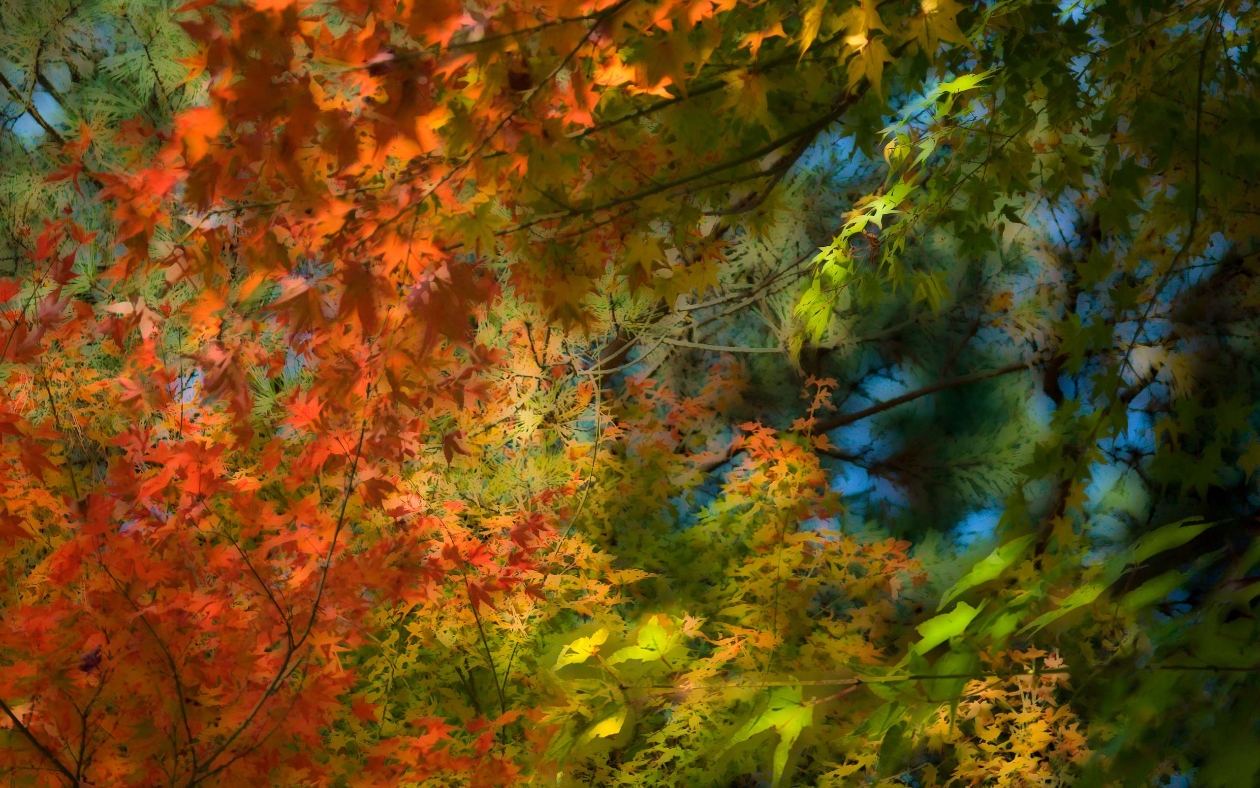 2560x1600 Jeffrey Friedl's Blog The Color of Kyoto