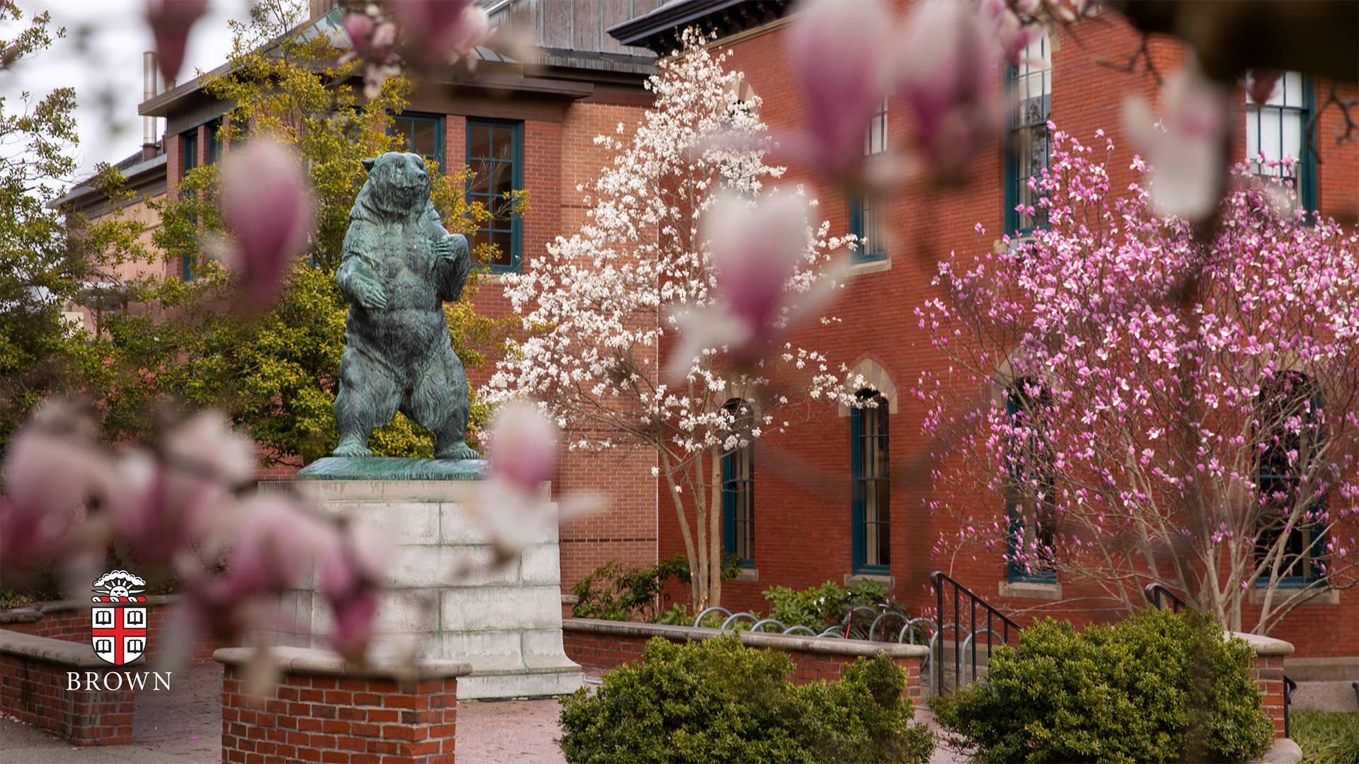 1920x1080 Free Brown University Background Photo, Brown University Background for FREE