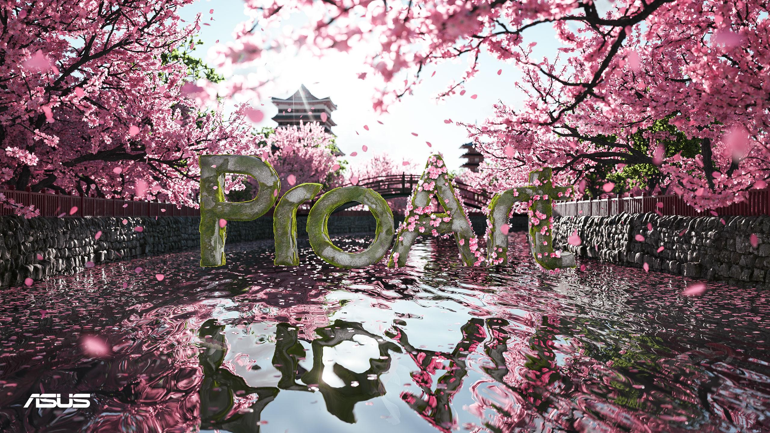 2560x1440 ASUS ProArt Display Wallpaper Designs