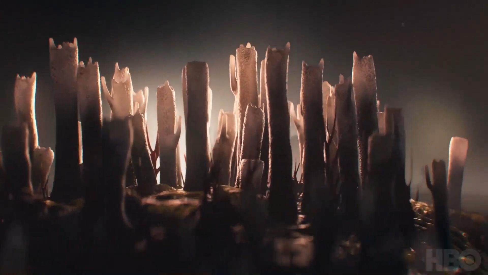 1920x1080 MakeMake Creates a Mesmerizing Title Sequence for HBO's The Last Of Us