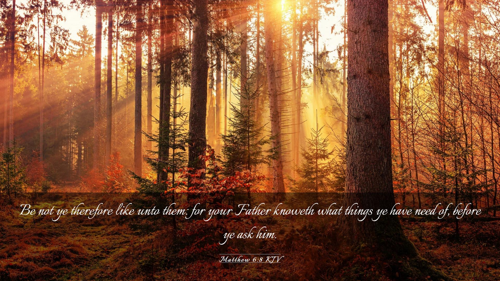 1920x1080 Matthew 6:8 KJV Desktop Wallpaper not ye therefore like unto them: for your