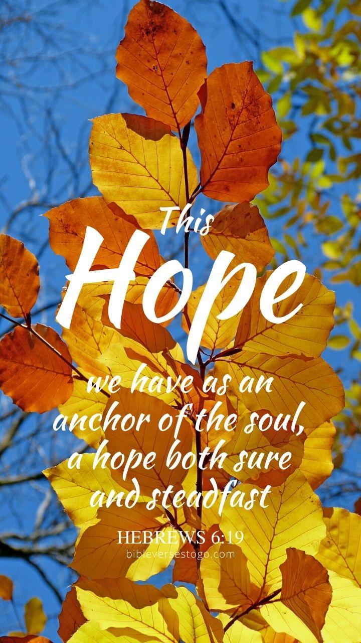 720x1280 Autumn Leaves Hebrews 6:19 Bible Verses