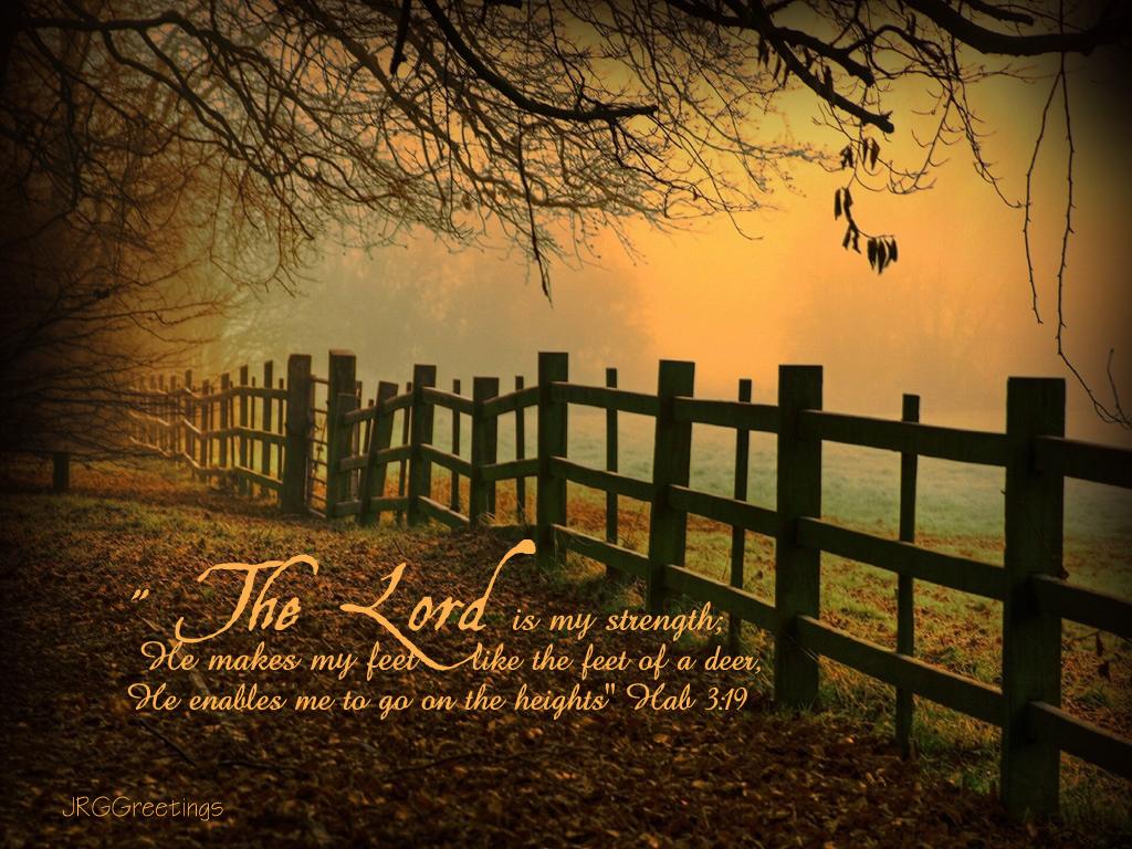 1024x768 KJV Fall Wallpaper
