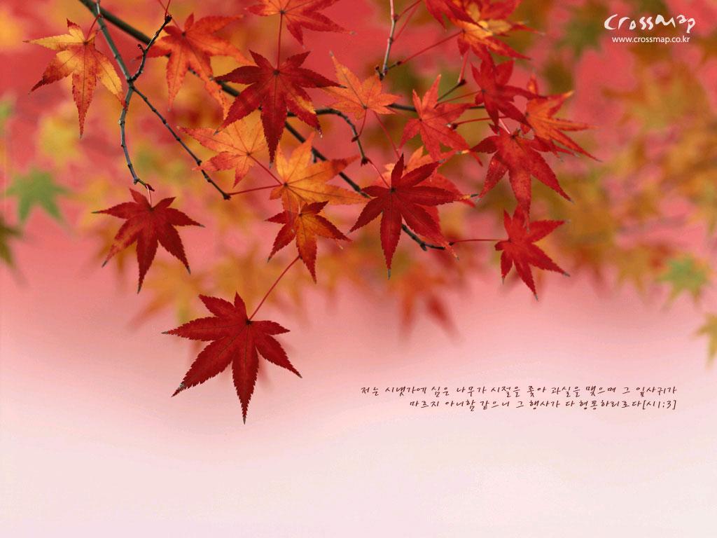 1024x768 Christian Wallpaper Bible Verses 04wallp110