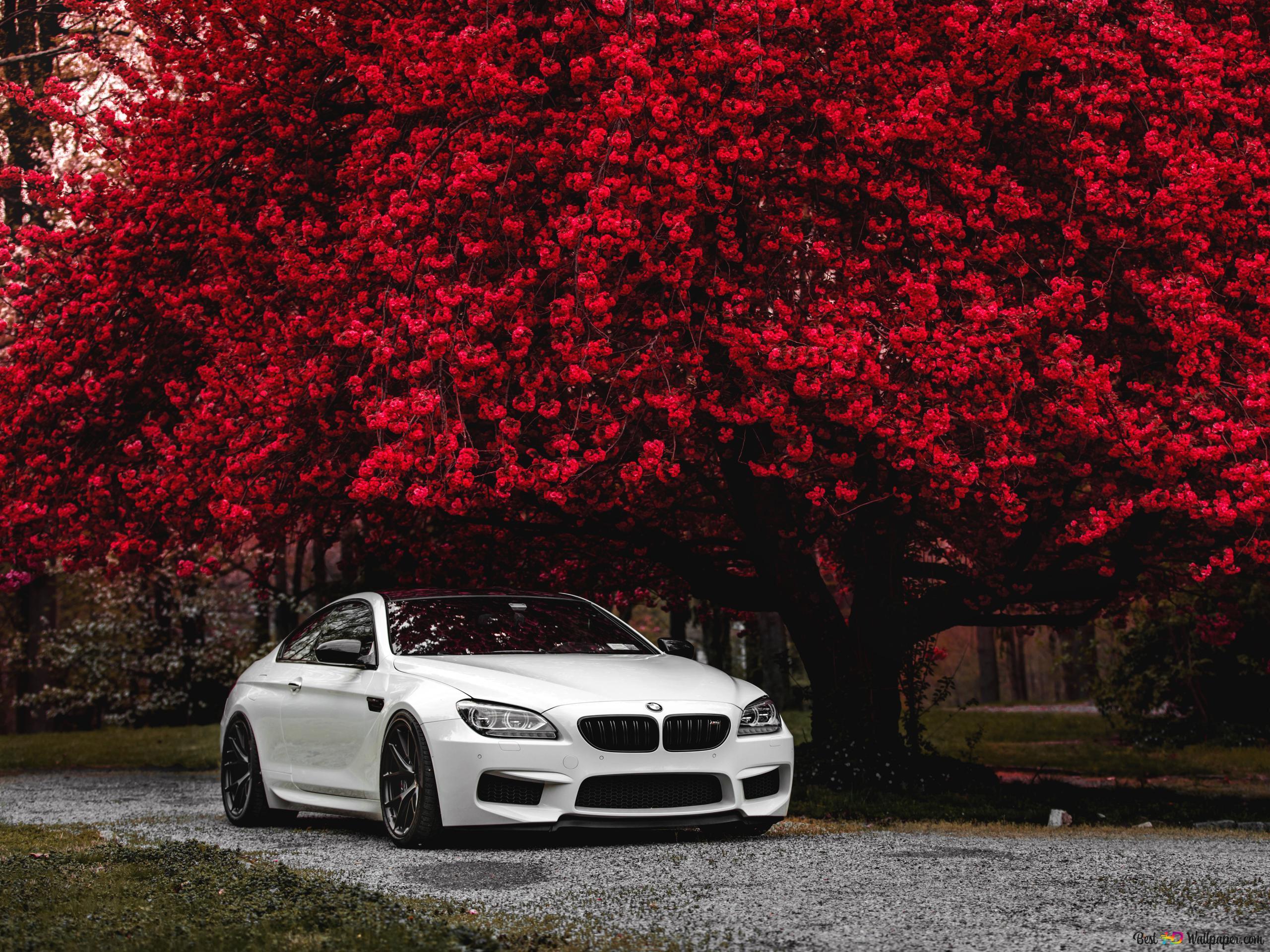 2560x1920 BMW M6 6K wallpaper download