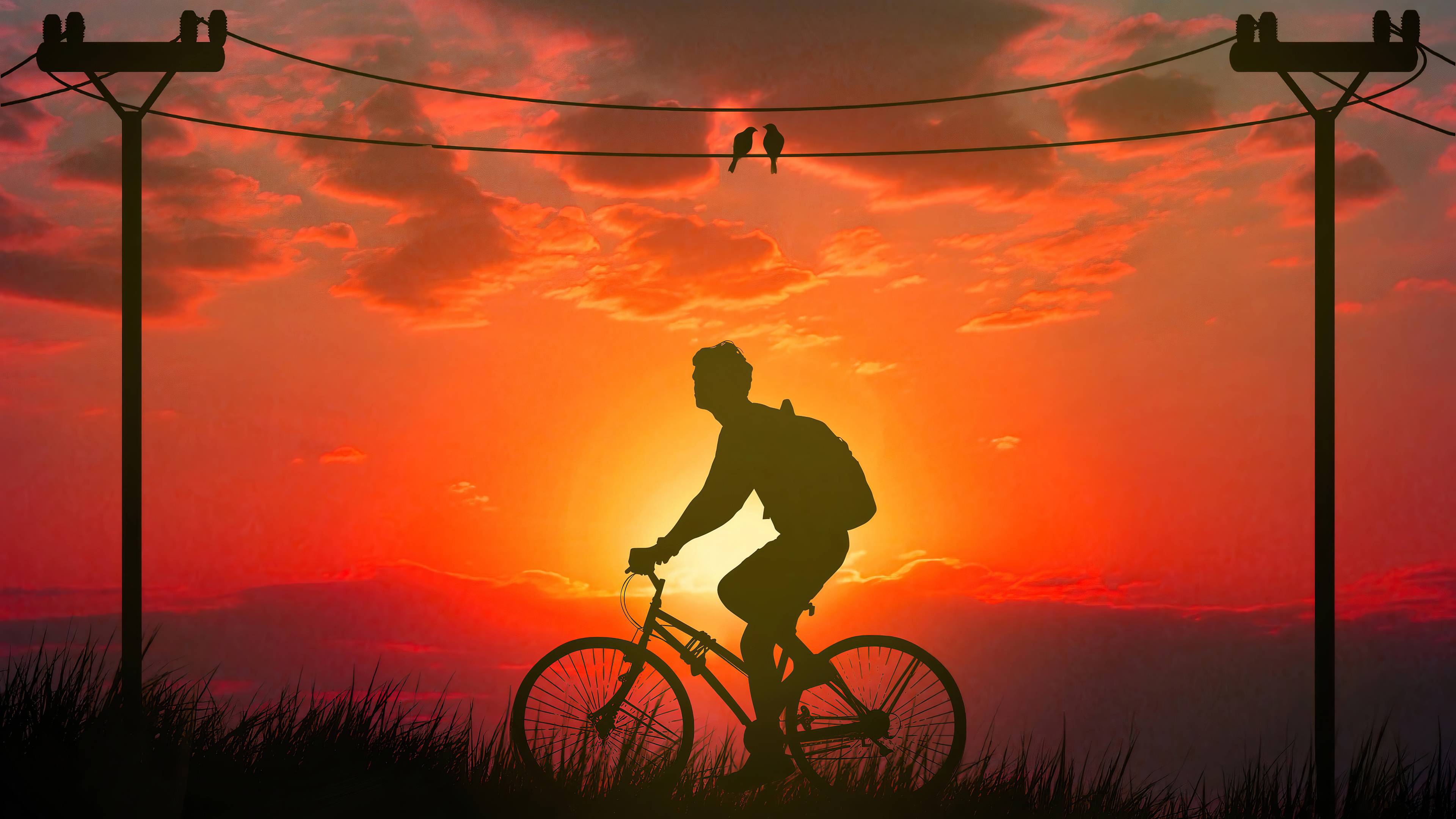3840x2160 Morning Bicycle Ride 4k, HD Artist, 4k Wallpaper, Image, Background, Photo and Picture
