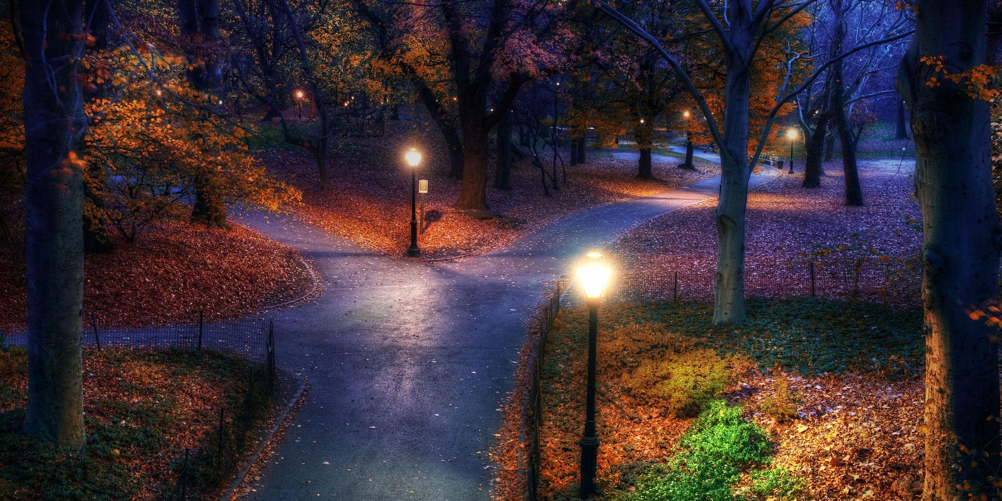2000x1000 Park Evening Trees Fall, HD Nature, 4k Wallpaper, Image, Background, Photo and Picture