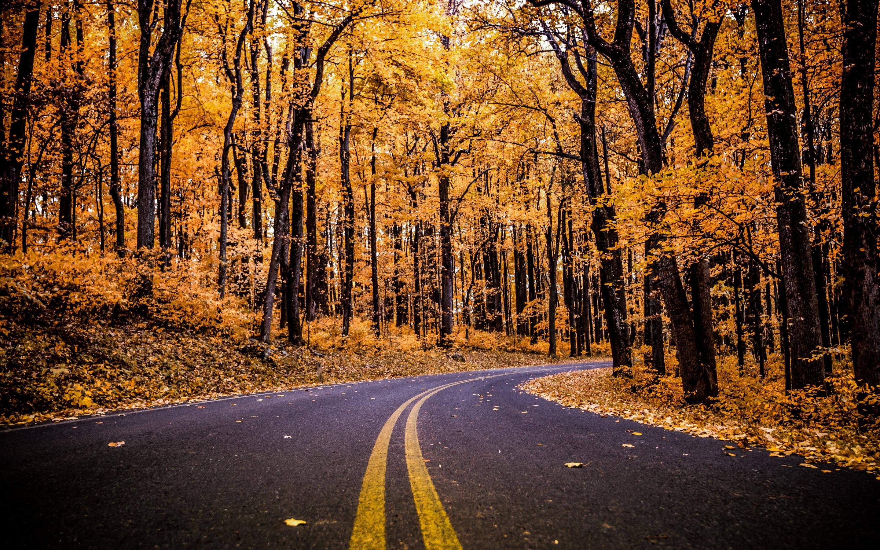 2880x1800 Shenandoah National Park Wallpaper 4K, Virginia, United States, Nature