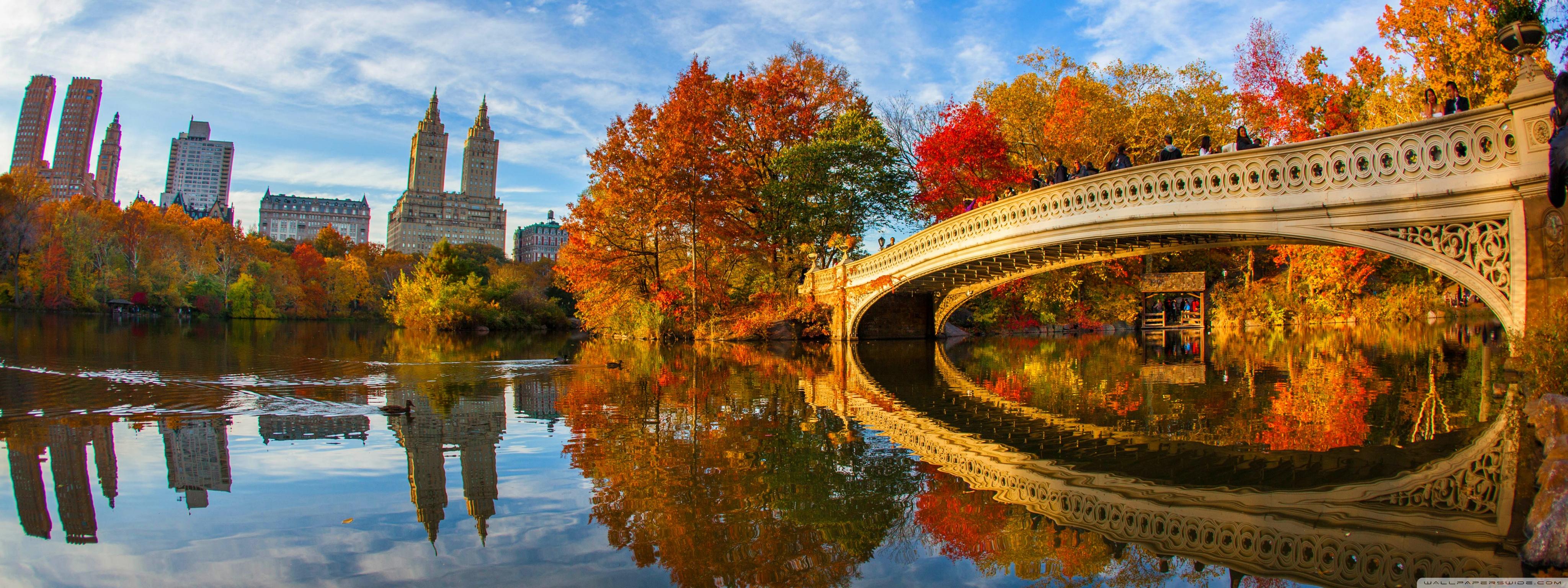 4096x1536 Fall Foliage in Central Park New York City Ultra HD Desktop Background Wallpaper for 4K UHD TV : Widescreen & UltraWide Desktop & Laptop : Multi Display, Dual Monitor : Tablet