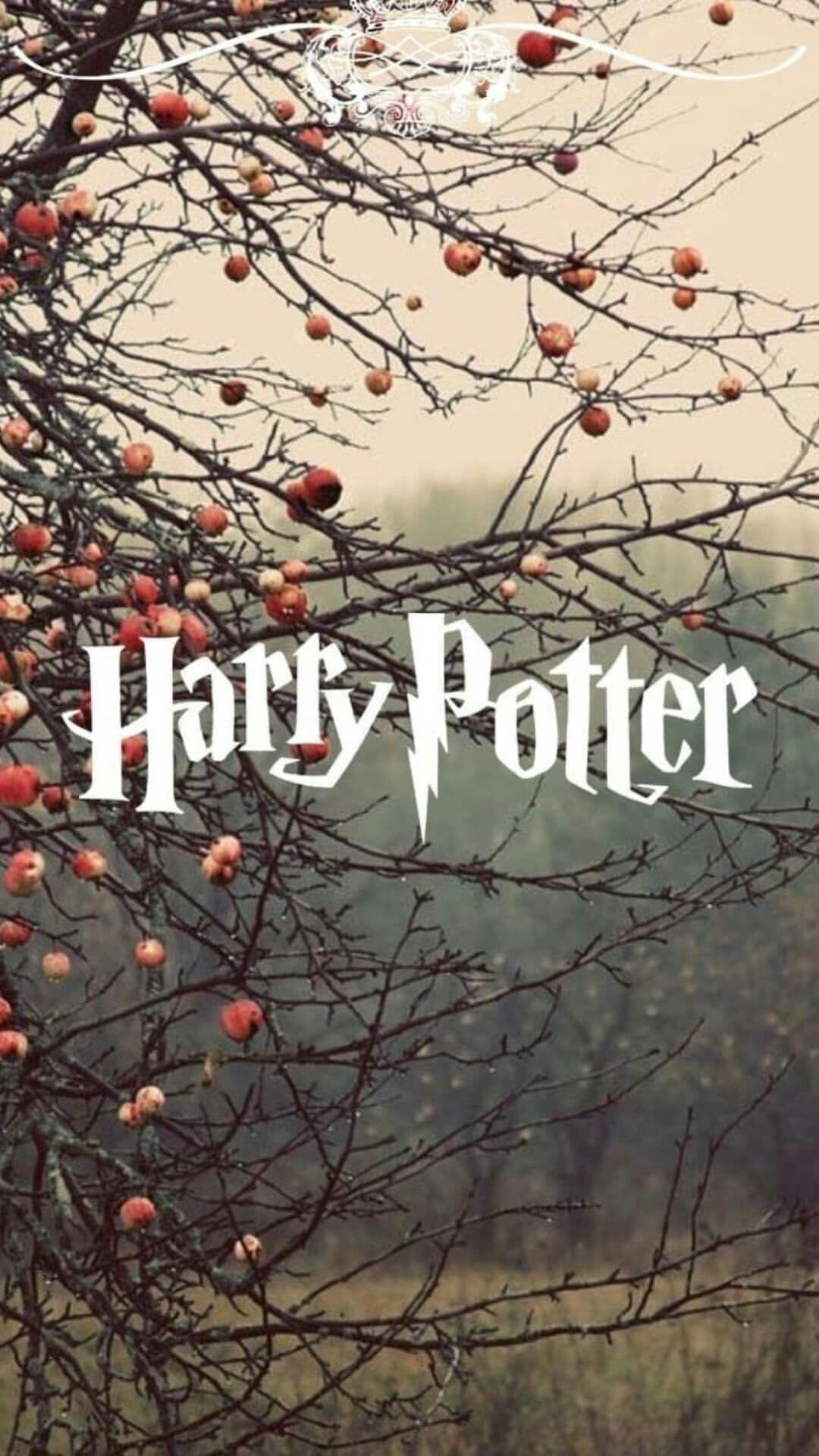1080x1920 Halloween / Fall. Harry potter wallpaper