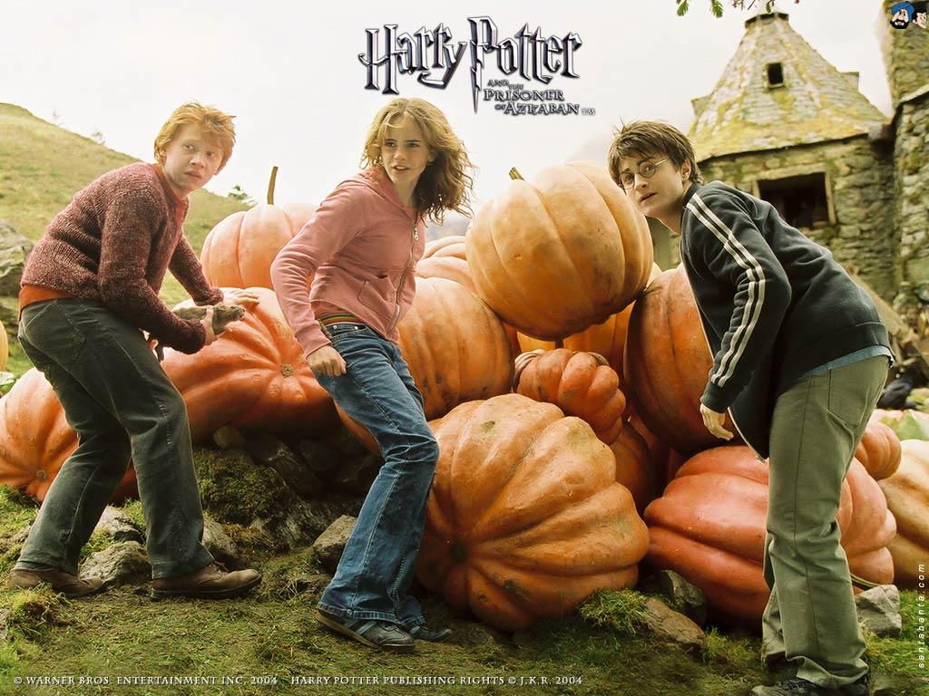 1024x768 Harry Potter III Movie Wallpaper