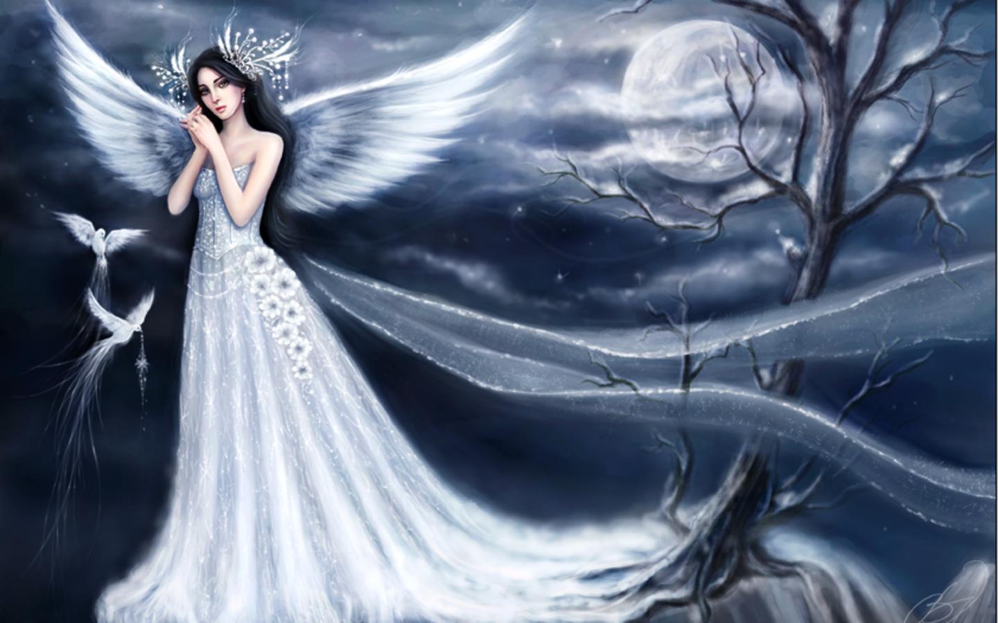 1440x900 Free download Winter Fairy Wallpaper Desk Wide Wallpaper [1440x900] for your Desktop, Mobile & Tablet. Explore Winter Fairy Desktop Wallpaper. Fairy Wallpaper Free, Fairy Tail Background, Fantasy Fairy Wallpaper