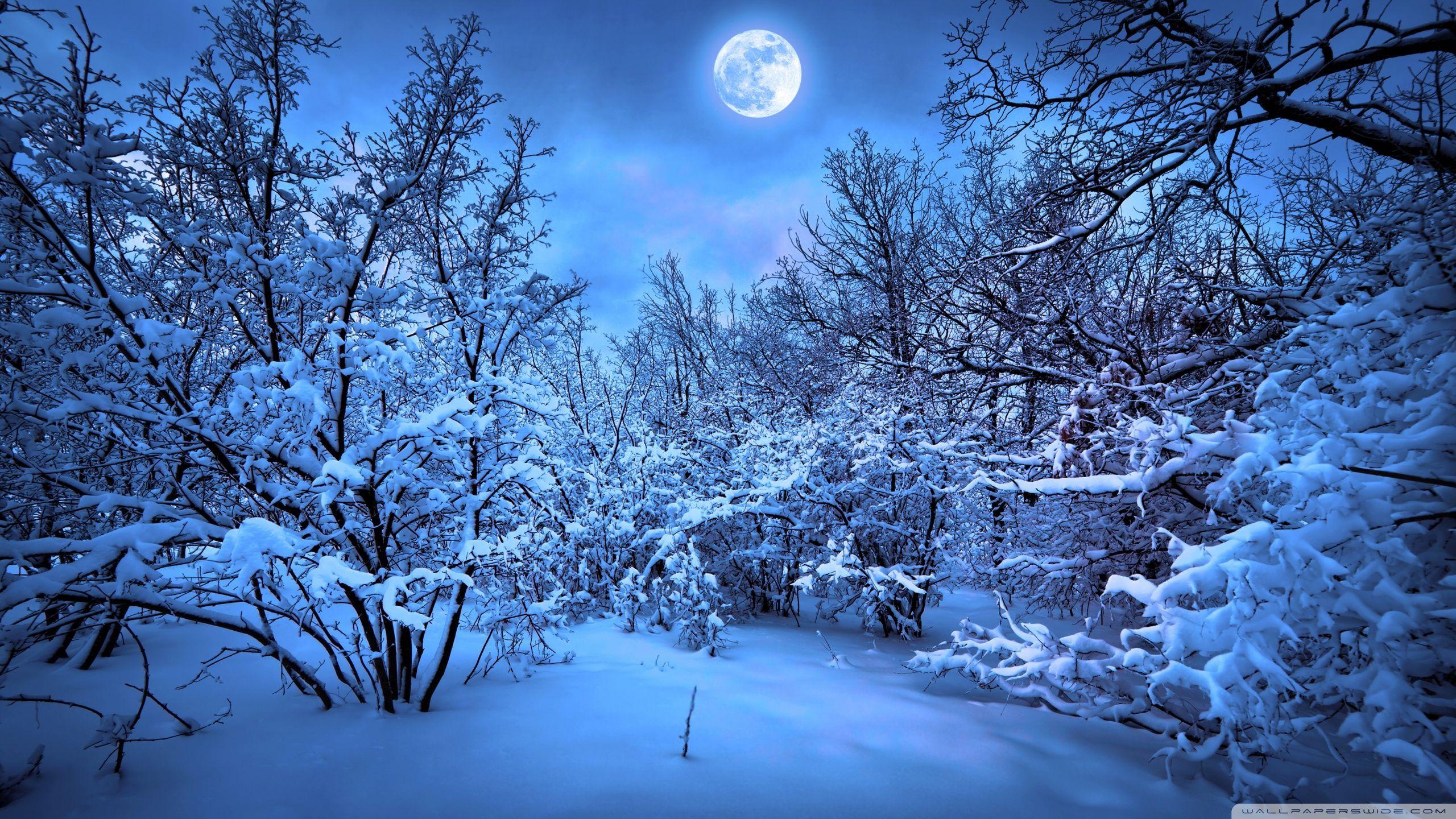 2560x1440 Angel Moon Winter Wallpaper