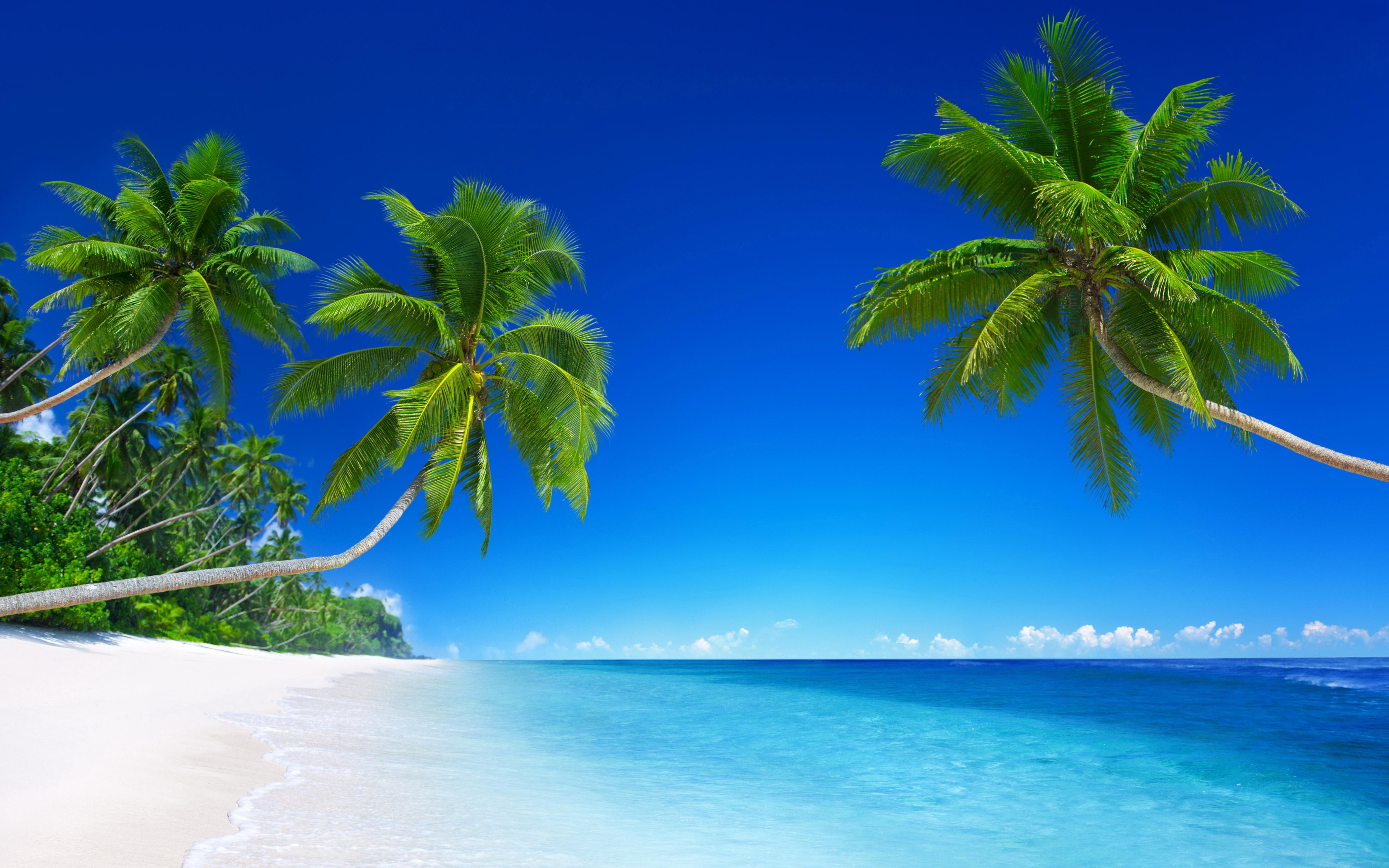 Sunny Tropical Beach Wallpapers - Top Free Sunny Tropical Beach ...