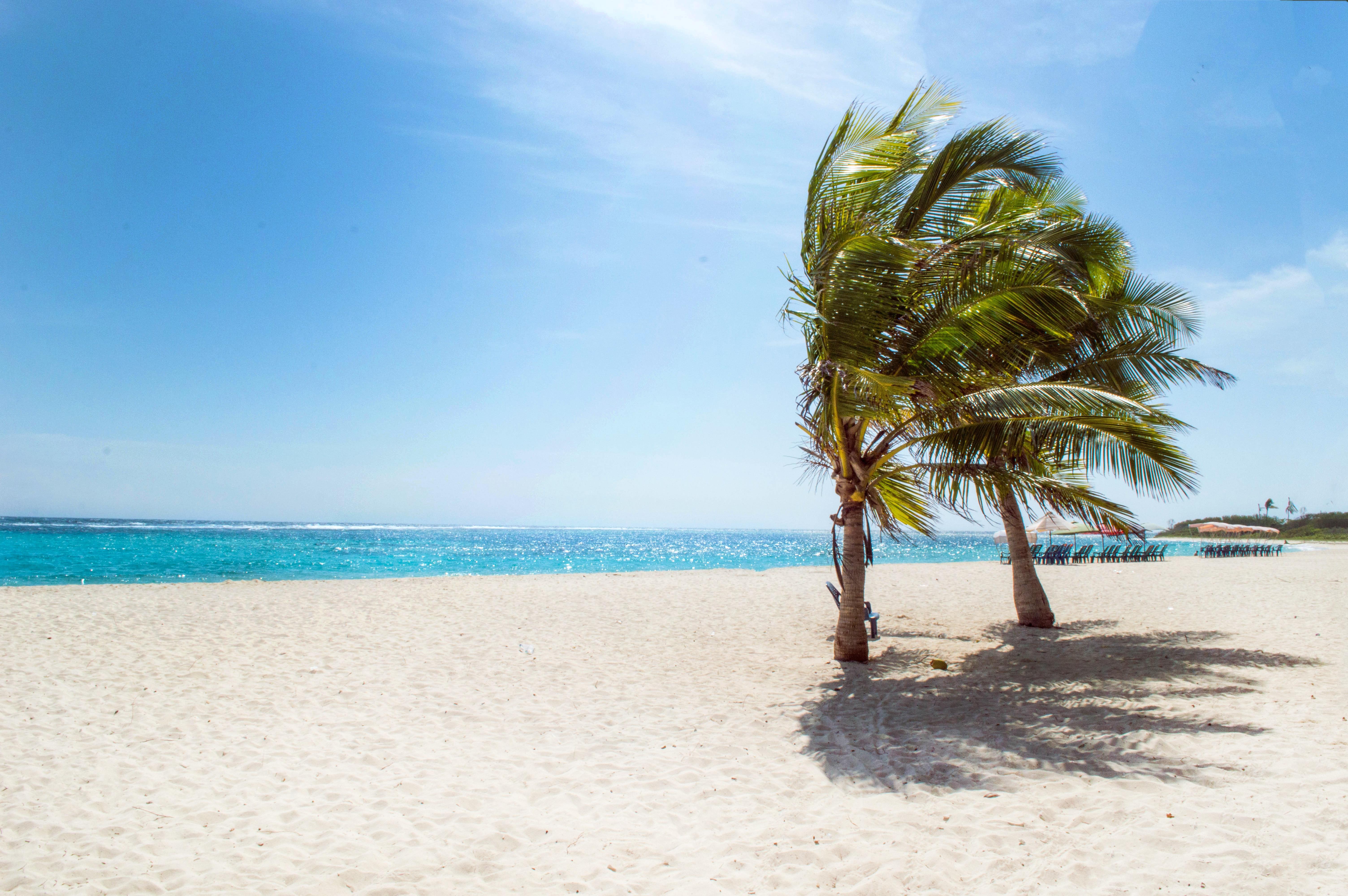 6016x4000 Tropical Beach Photo, Download The BEST Free Tropical Beach & HD Image