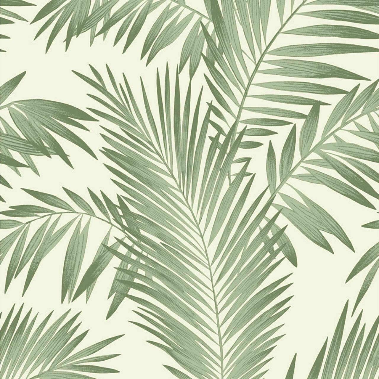 1280x1280 Arthouse Quality Tropical Palm Tree Leaves Green Jungle Nature Wallpaper 906802 5050192906821