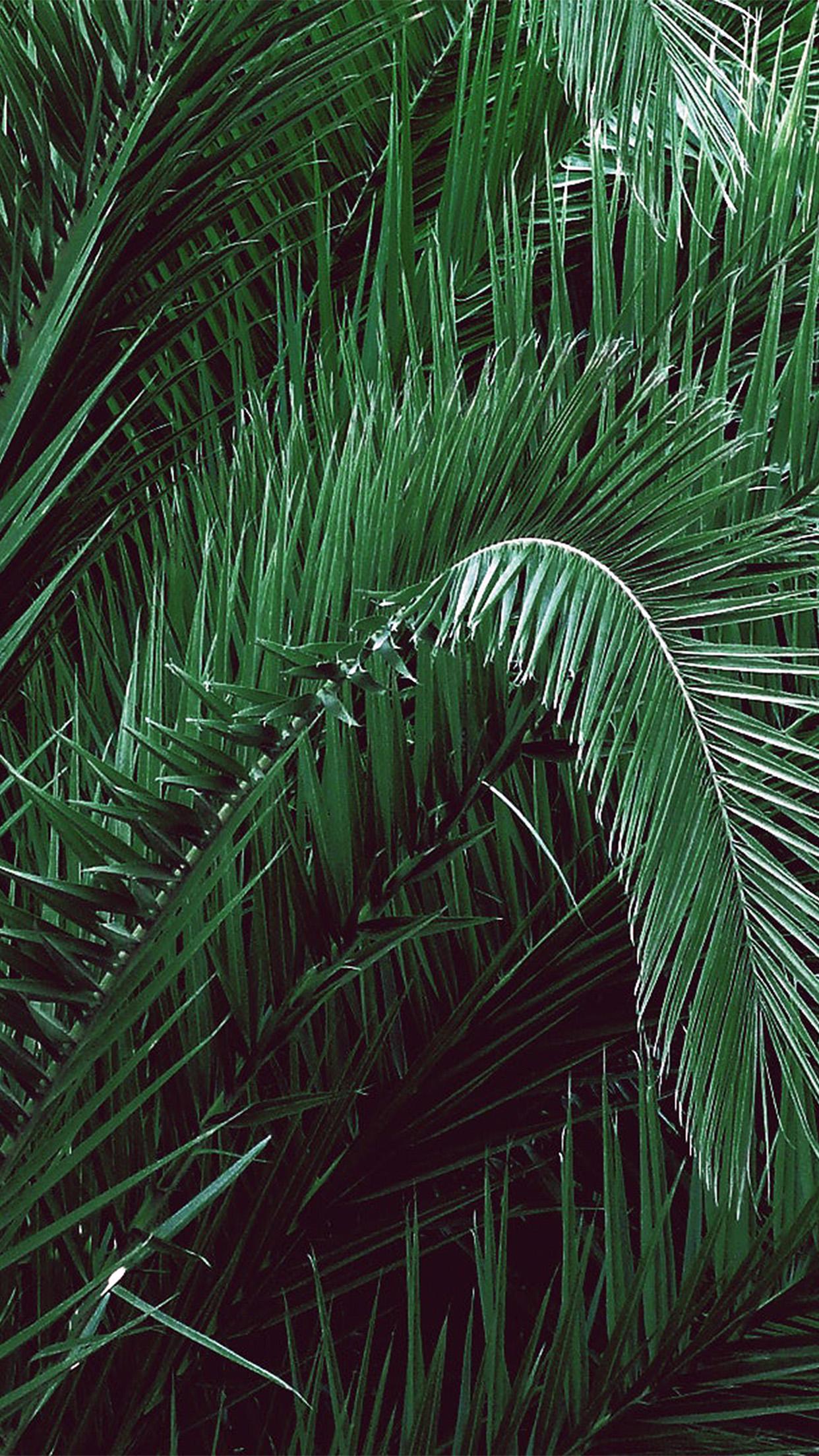 1242x2208 iPhone X wallpaper. green leaf tree art illustration