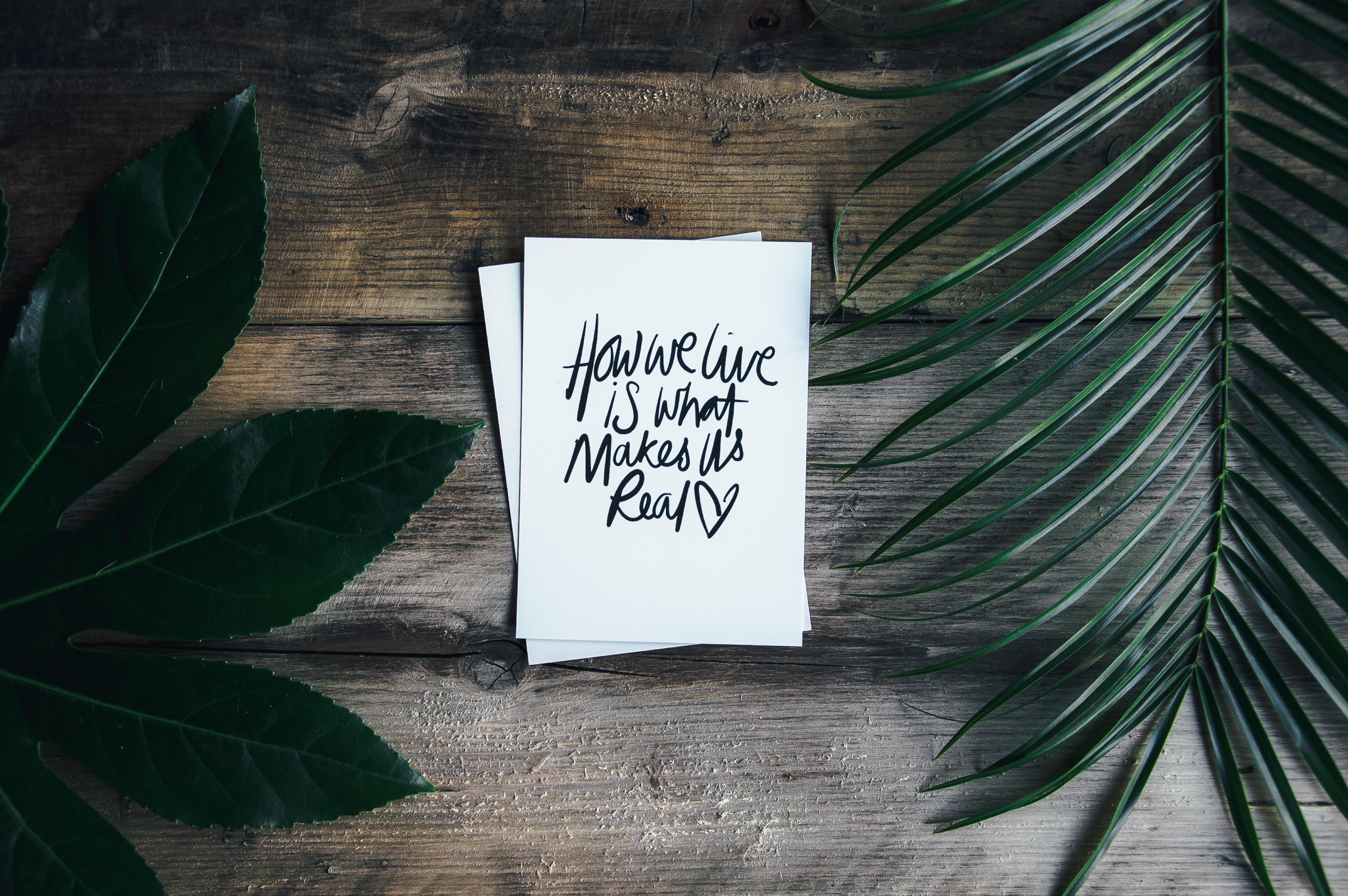 4000x2660 4000x2660 text, quote, cute wallpaper, Creative Commons image, table top, plants, letterin, font, sign, card, lettering, wooden table, paper, cute background, leaves, postcard, wood, leaf Gallery HD Wallpaper