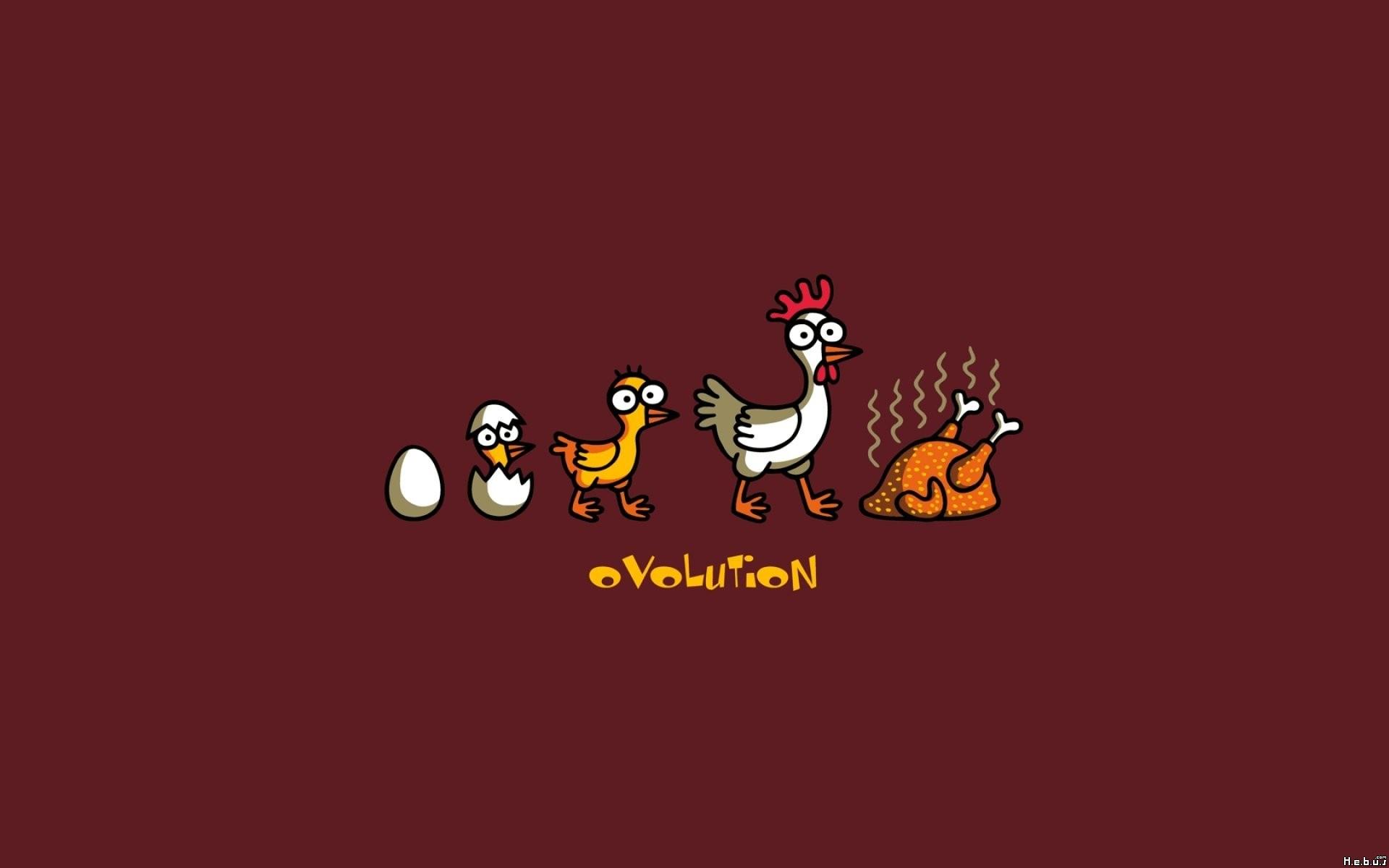 1920x1200 minimalism, evolution, chickens, humor Gallery HD Wallpaper